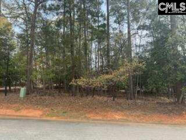 703 Cove Trail, Chapin, South Carolina image 6