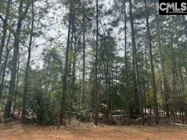 703 Cove Trail, Chapin, South Carolina image 7