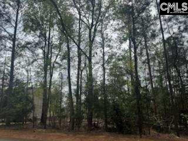 703 Cove Trail, Chapin, South Carolina image 8