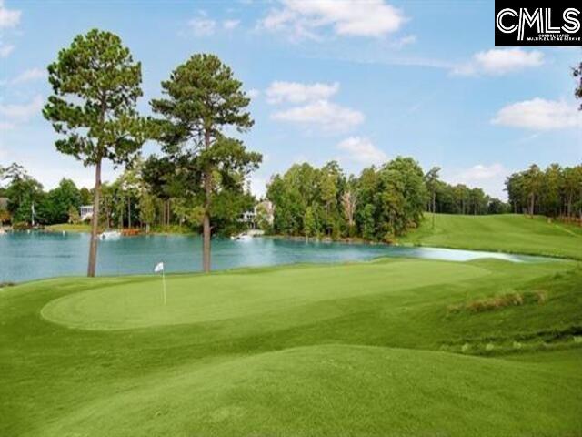 703 Cove Trail, Chapin, South Carolina image 10