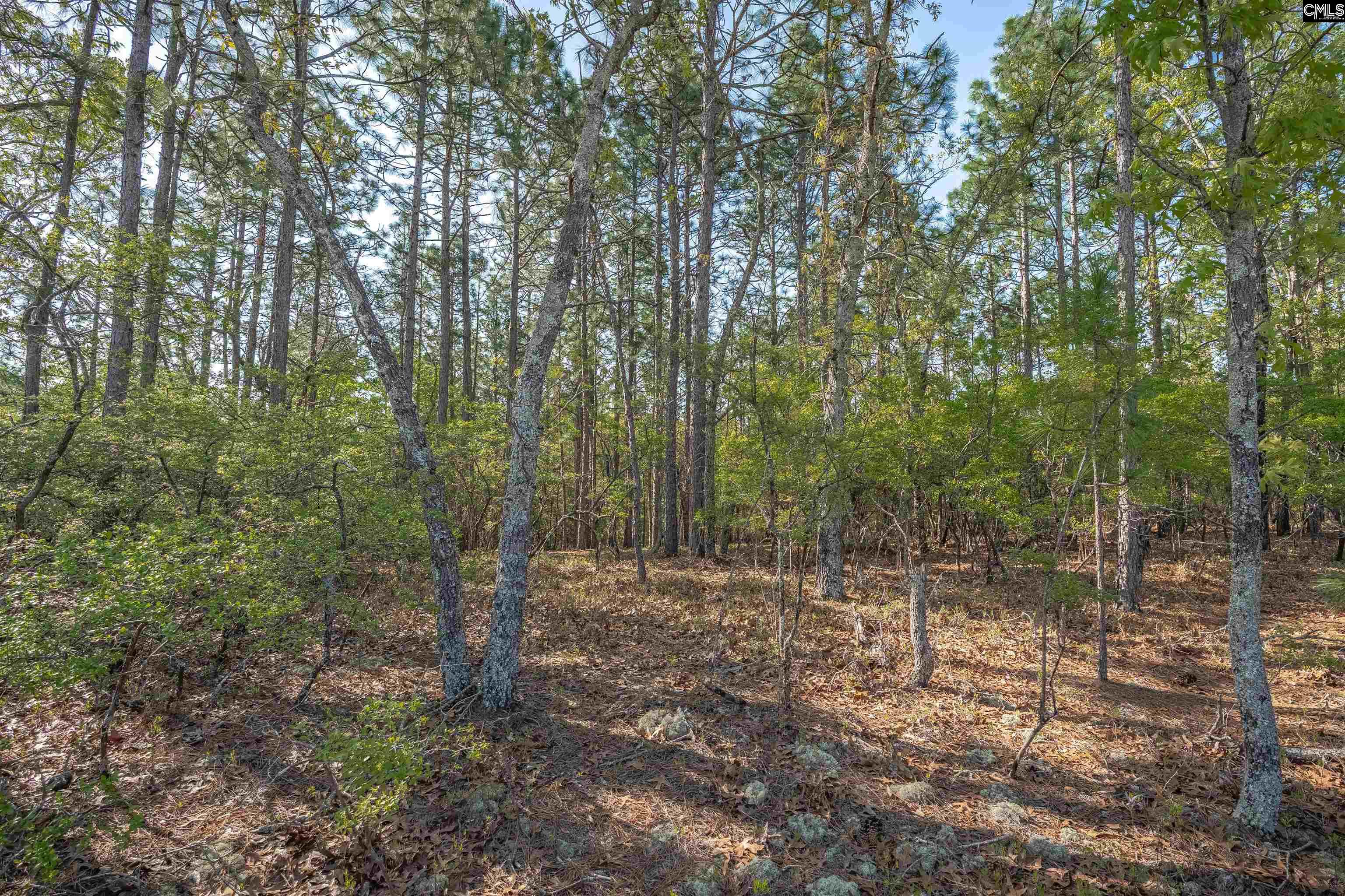 1557 Old Stagecoach Road Camden, SC 29020
