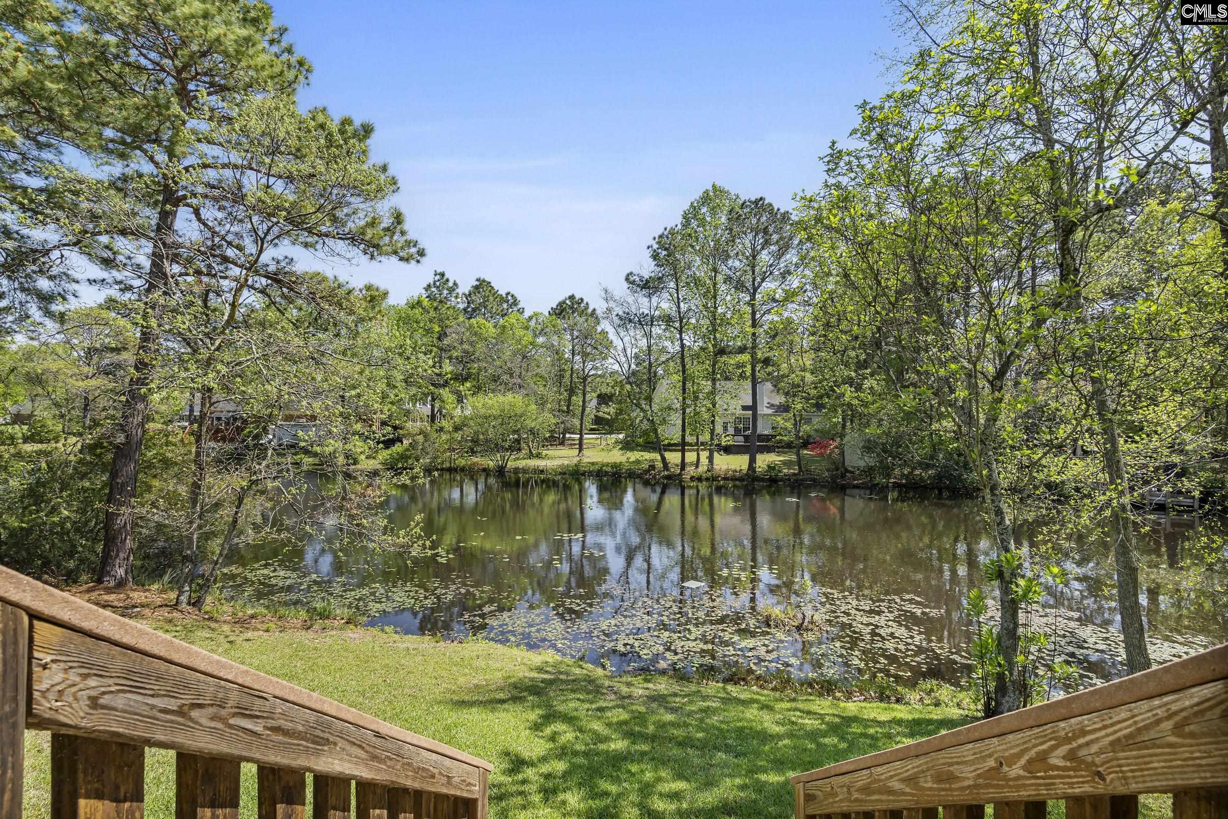 5 Alelia Court, Columbia, South Carolina image 4