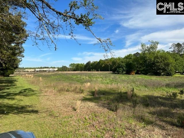 Mitchell St Batesburg, SC 29006