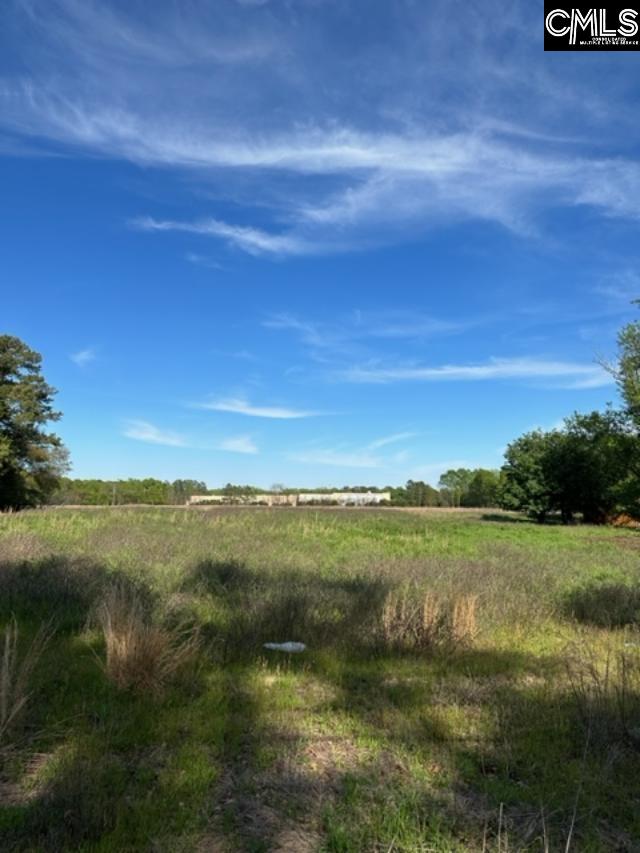 Mitchell St Batesburg, SC 29006