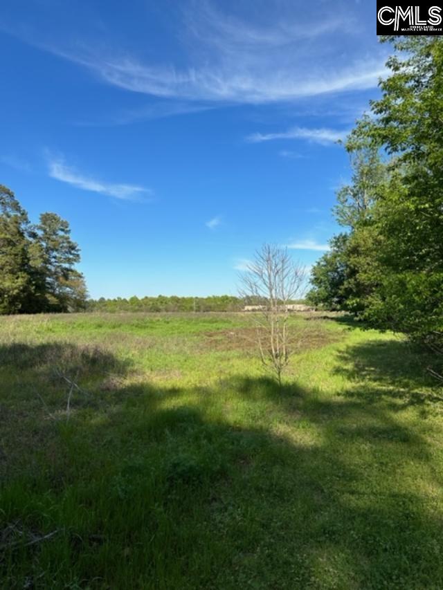 Mitchell St Batesburg, SC 29006