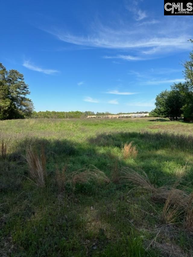 Mitchell St Batesburg, SC 29006