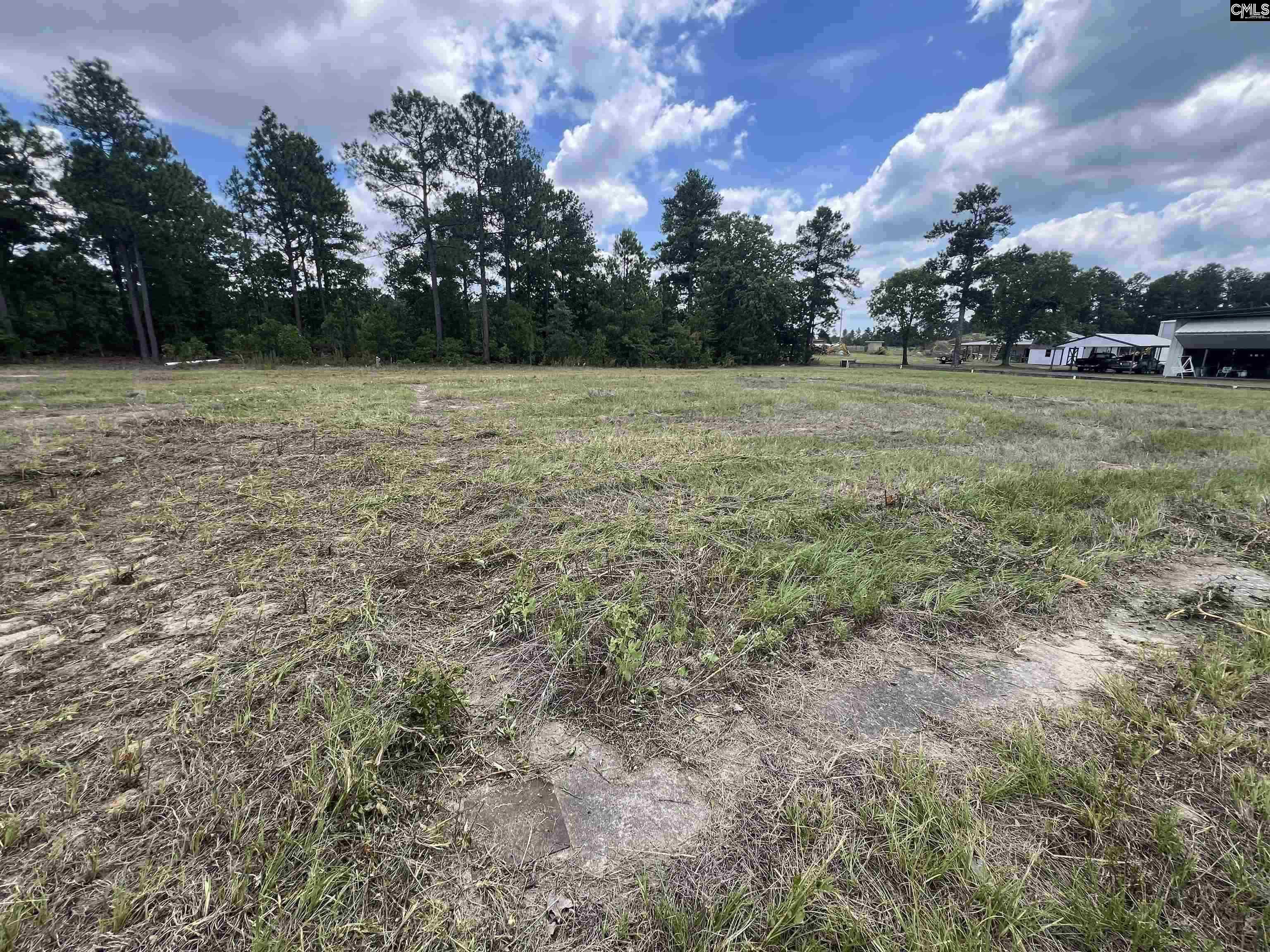 110 Piper Drive, Trenton, South Carolina image 2