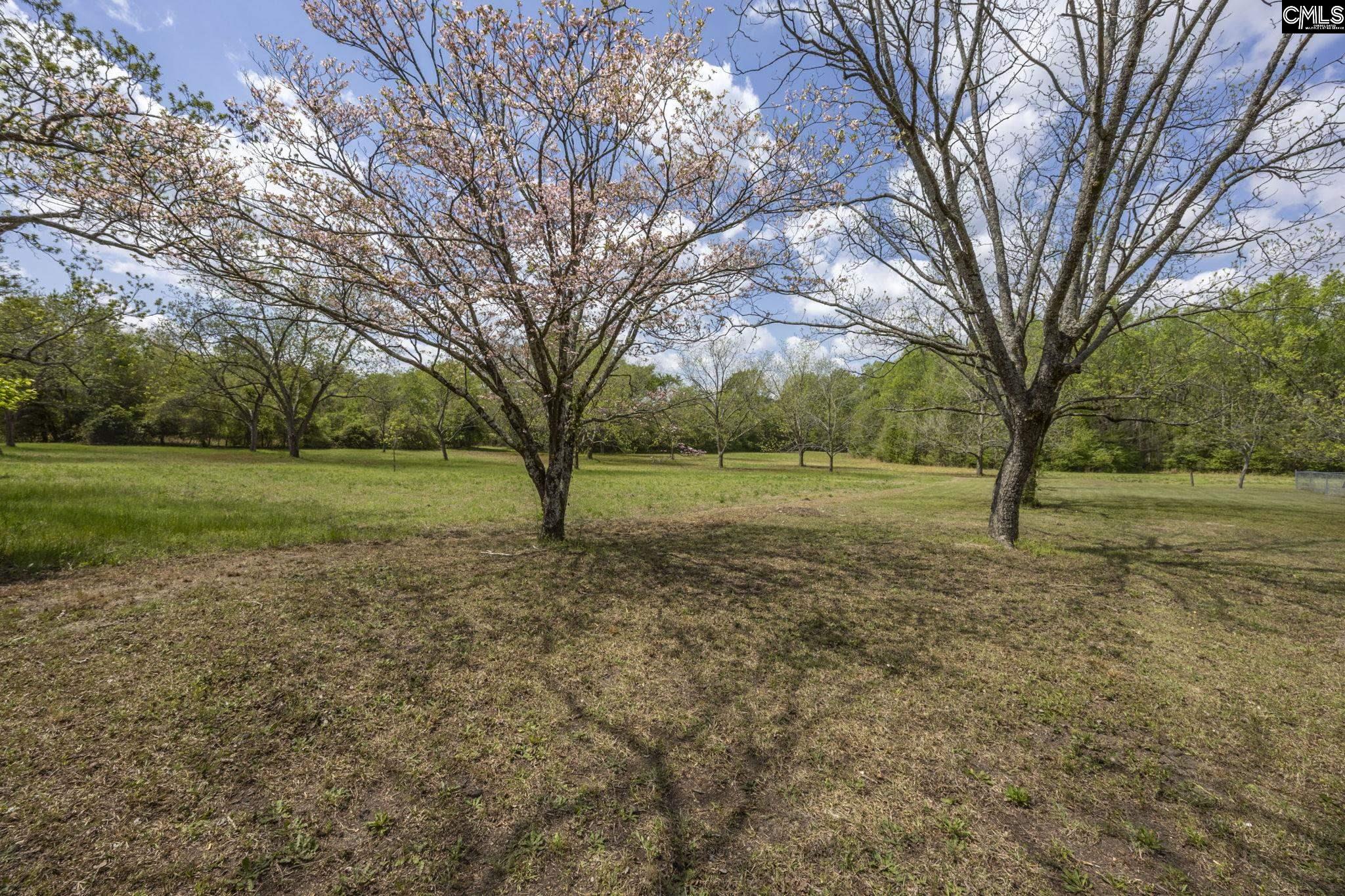 TBD Bethany Church Road, Lexington, South Carolina image 1