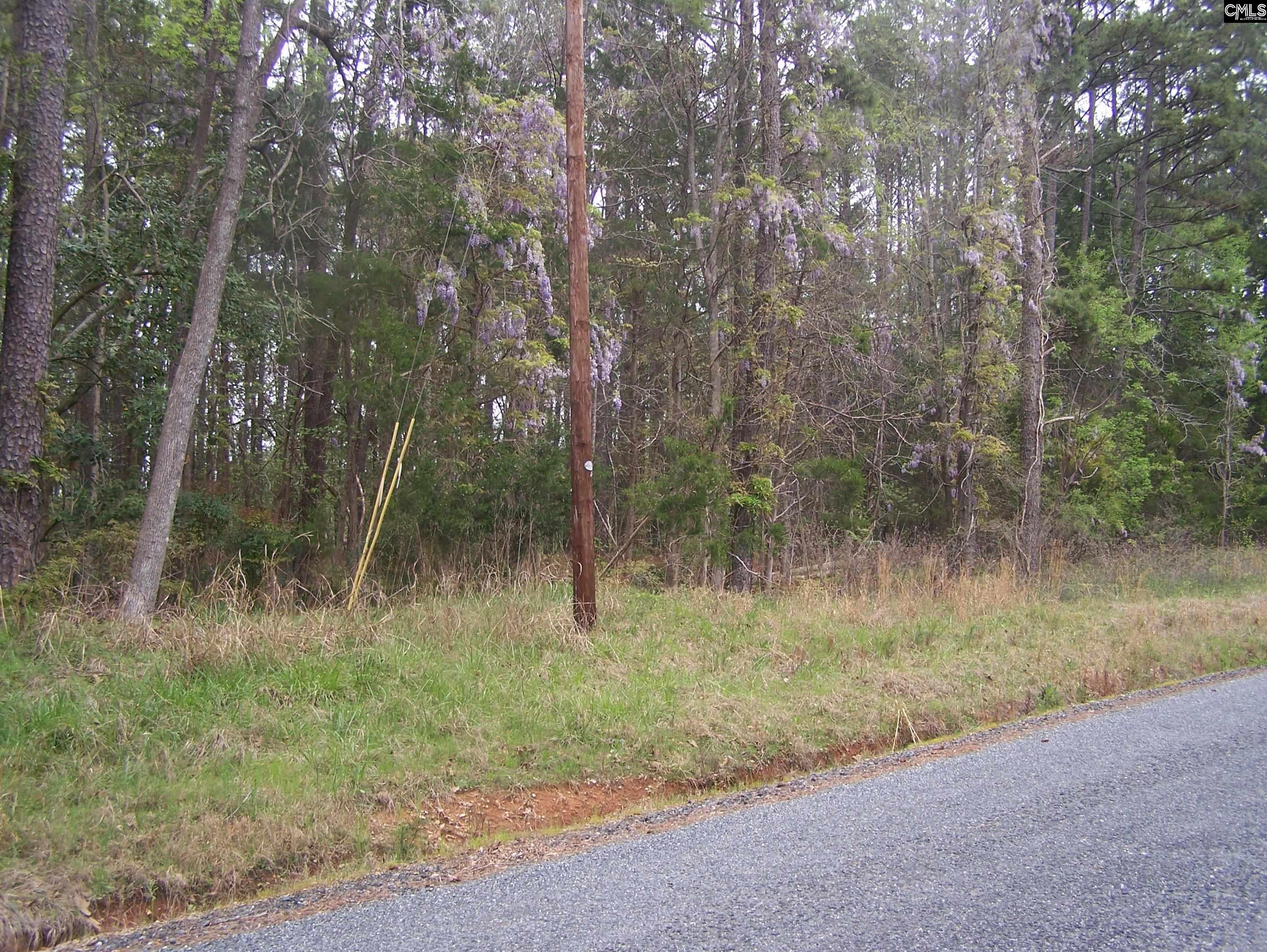TBD Kelly Court, Blair, South Carolina image 1