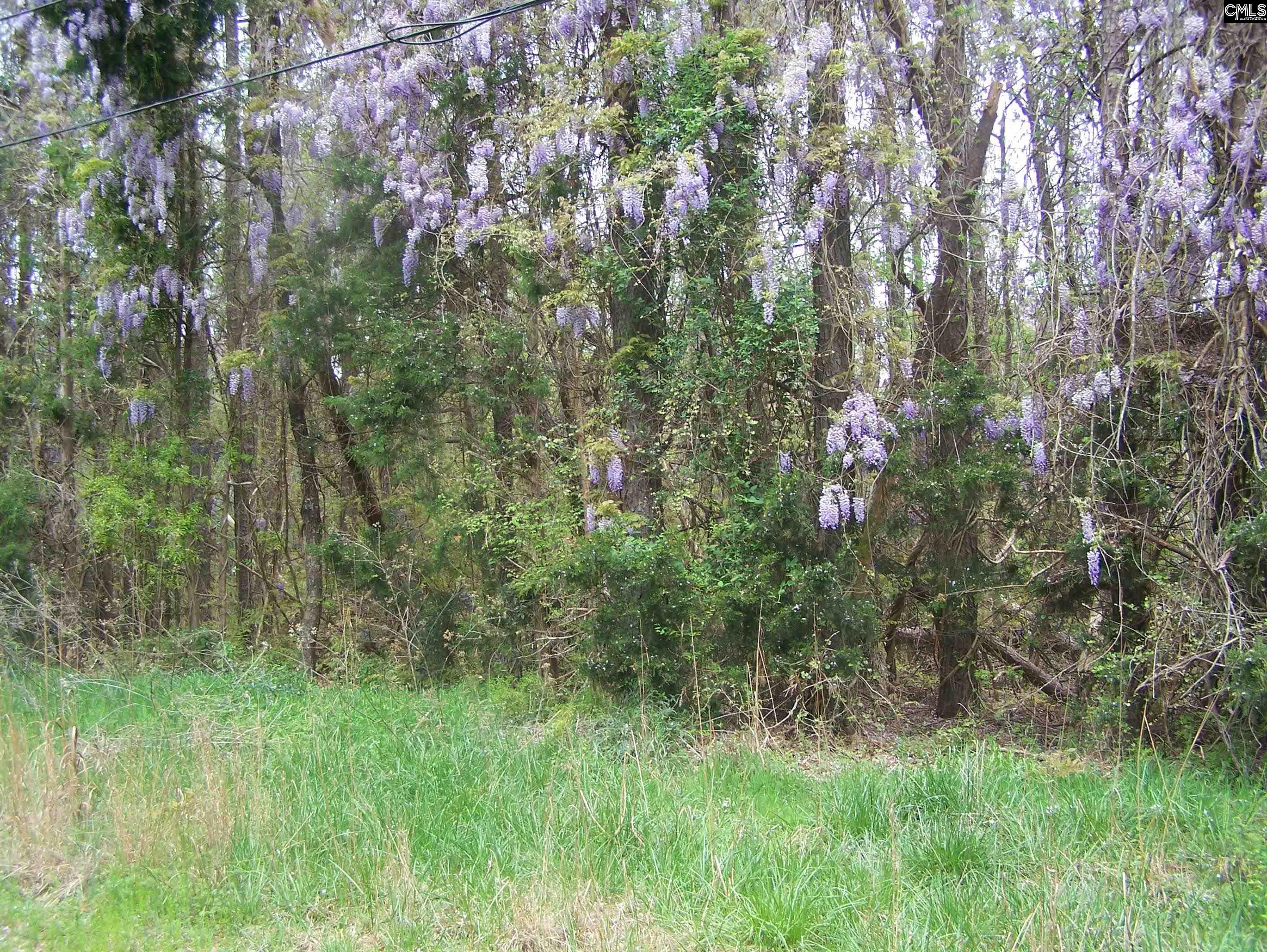 TBD Kelly Court, Blair, South Carolina image 3