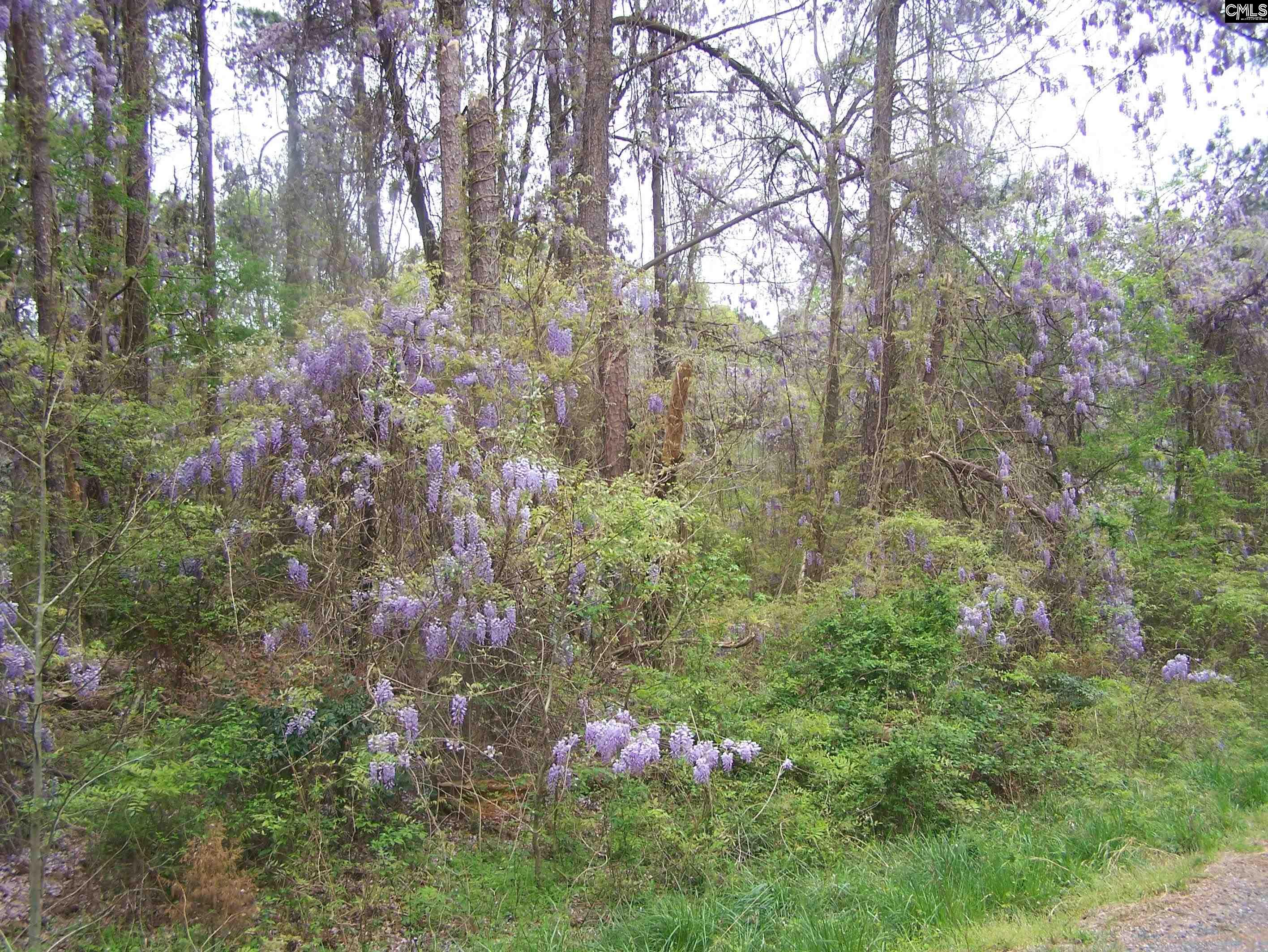 TBD Kelly Court, Blair, South Carolina image 7
