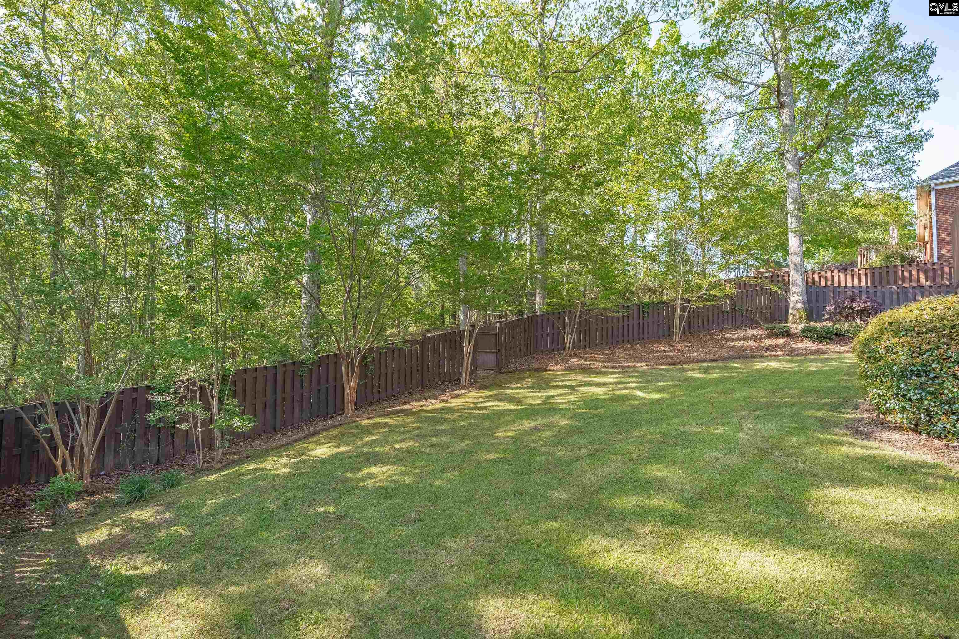 124 Red Alder Ct, Lexington, South Carolina image 26