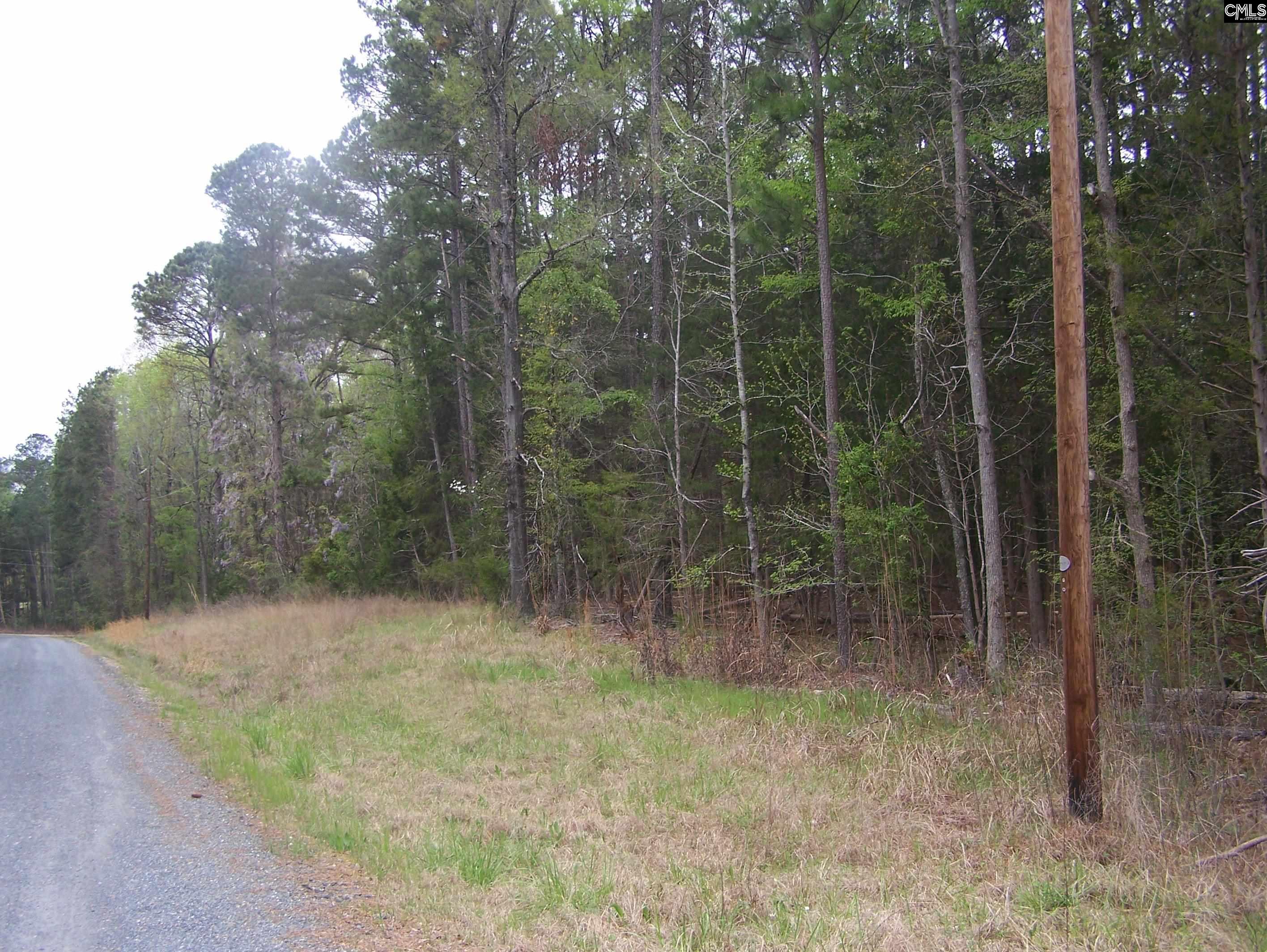 TBD Kelly Court, Blair, South Carolina image 1
