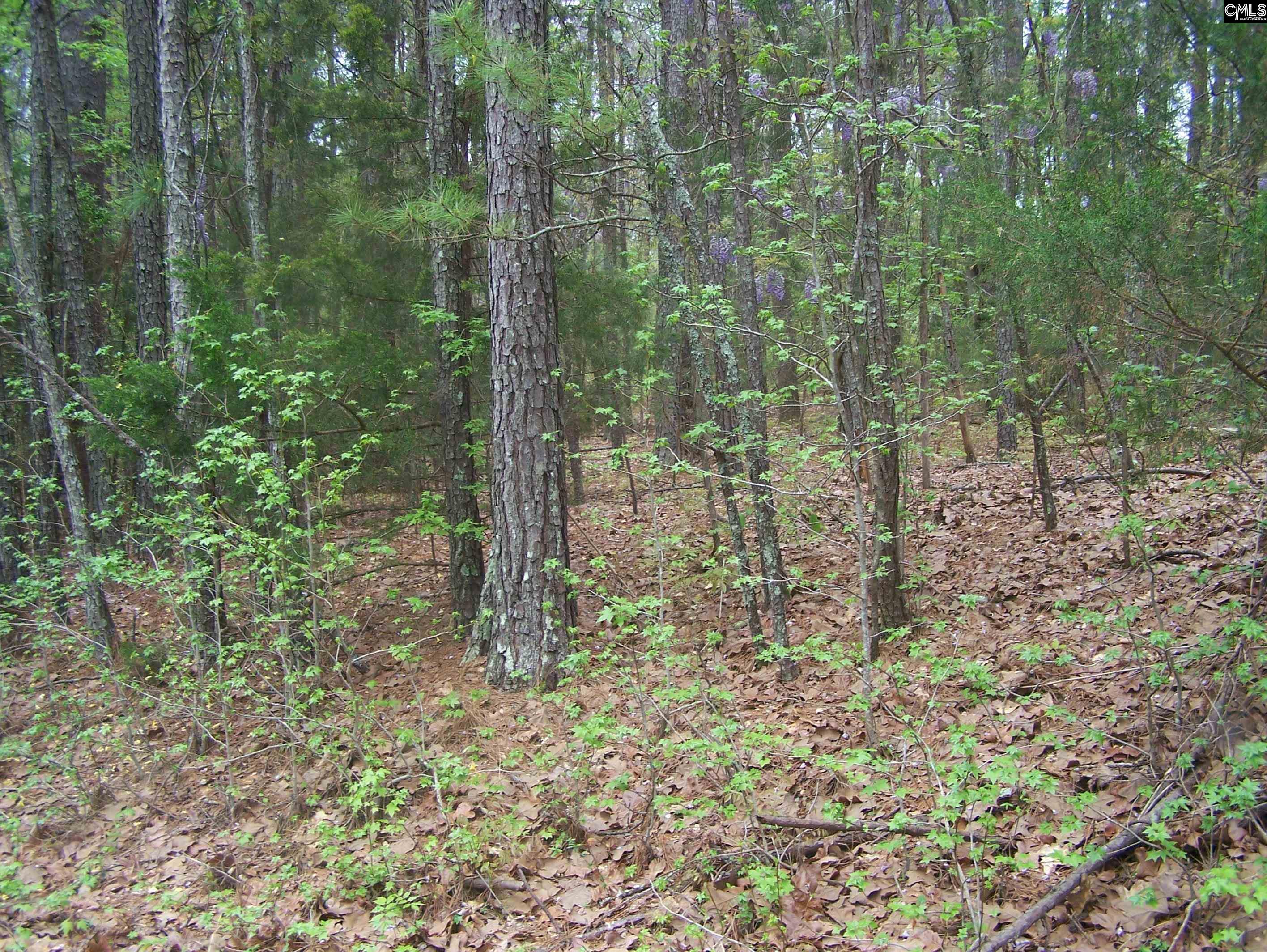 TBD Kelly Court, Blair, South Carolina image 2