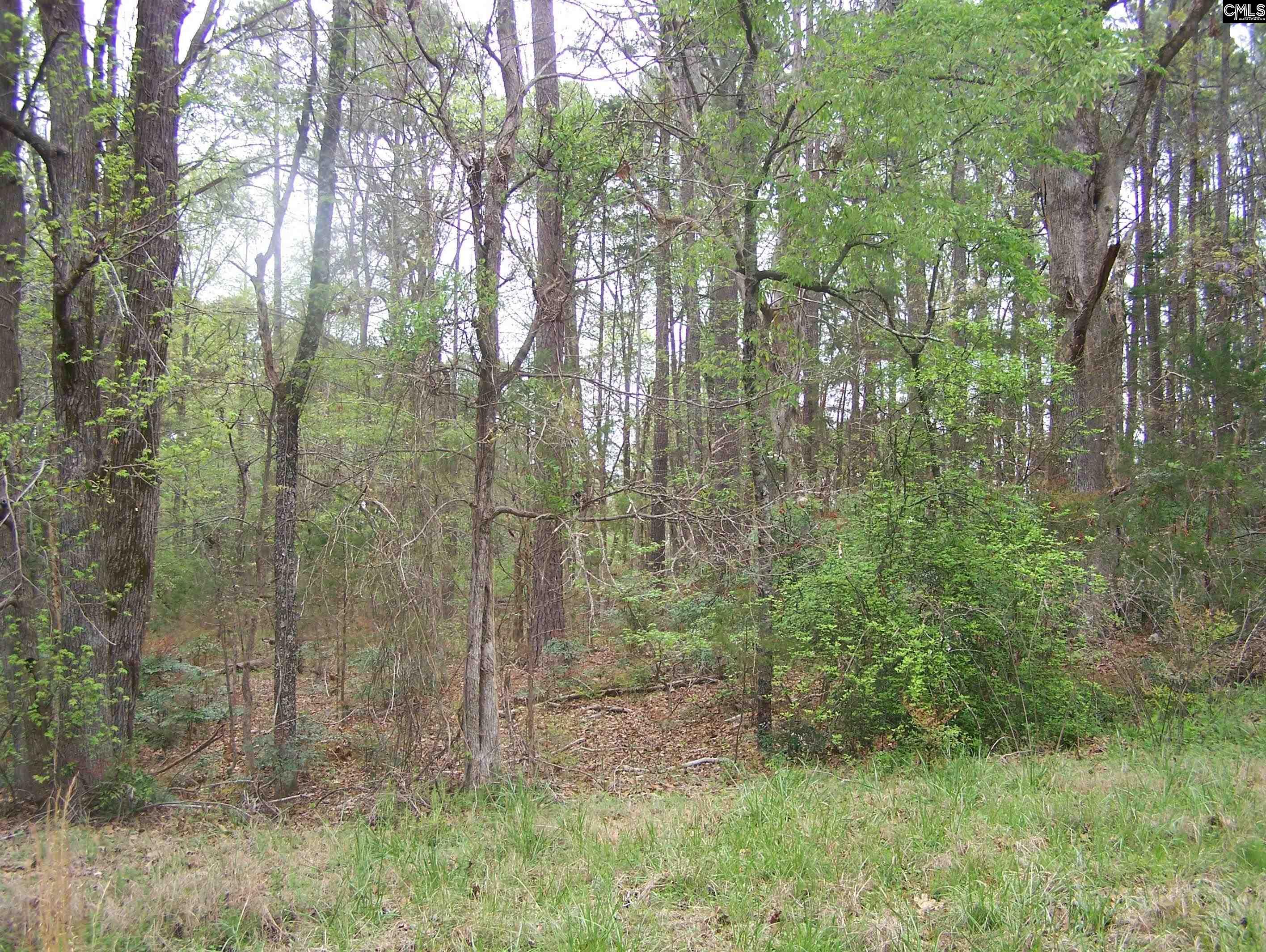 TBD Kelly Court, Blair, South Carolina image 4