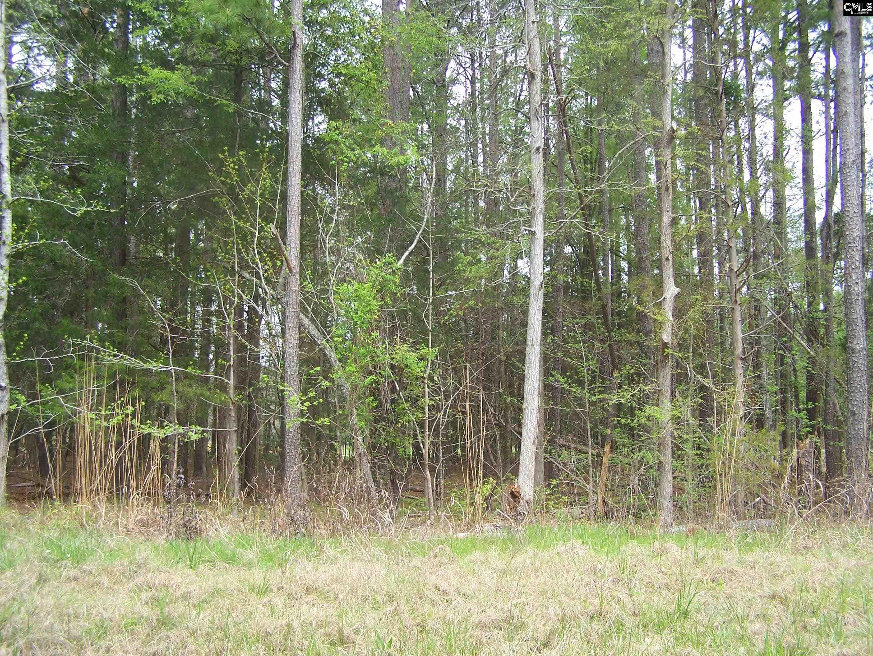 TBD Kelly Court, Blair, South Carolina image 5