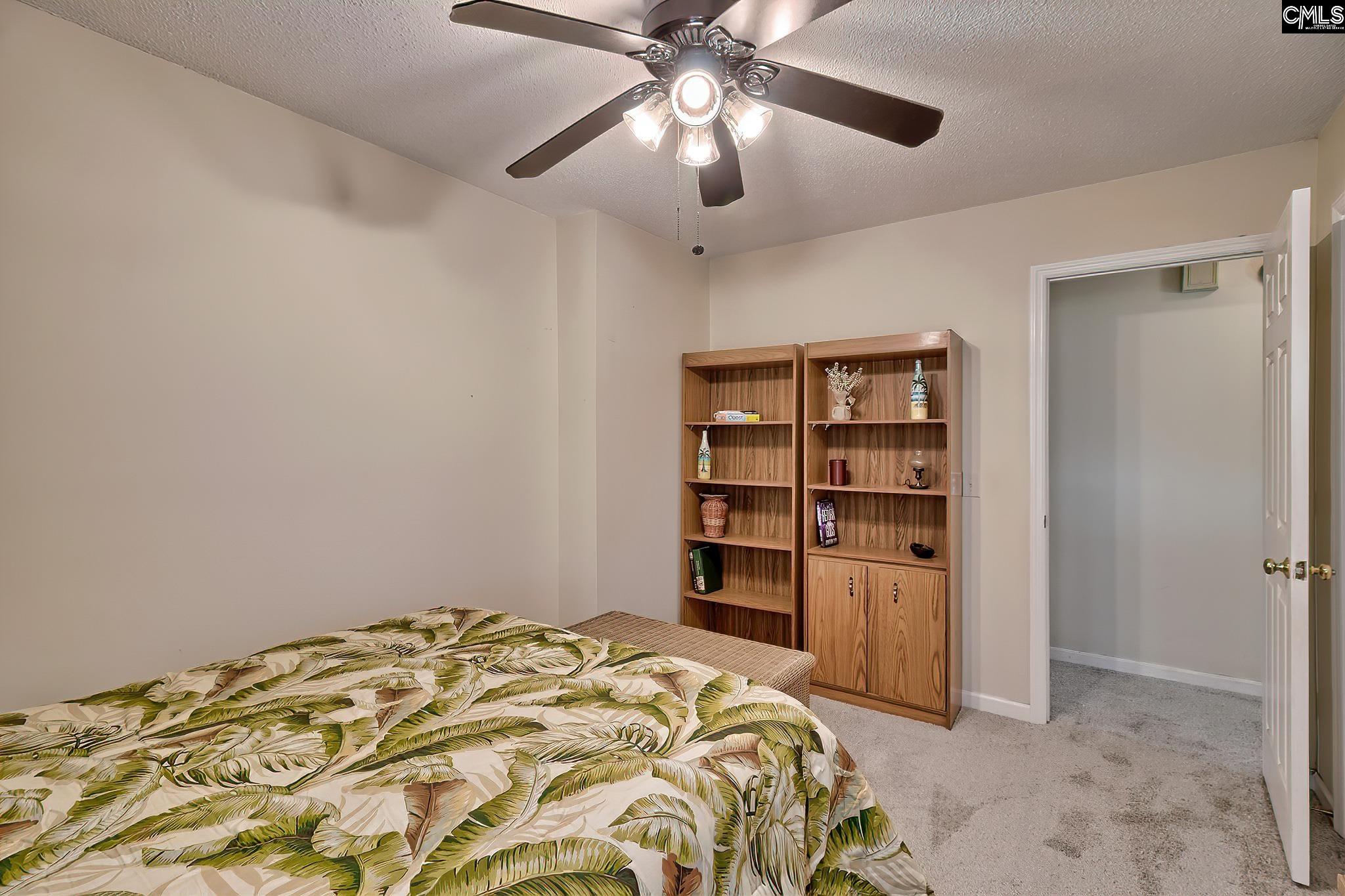 265 Sandspur Road, Pelion, South Carolina image 24