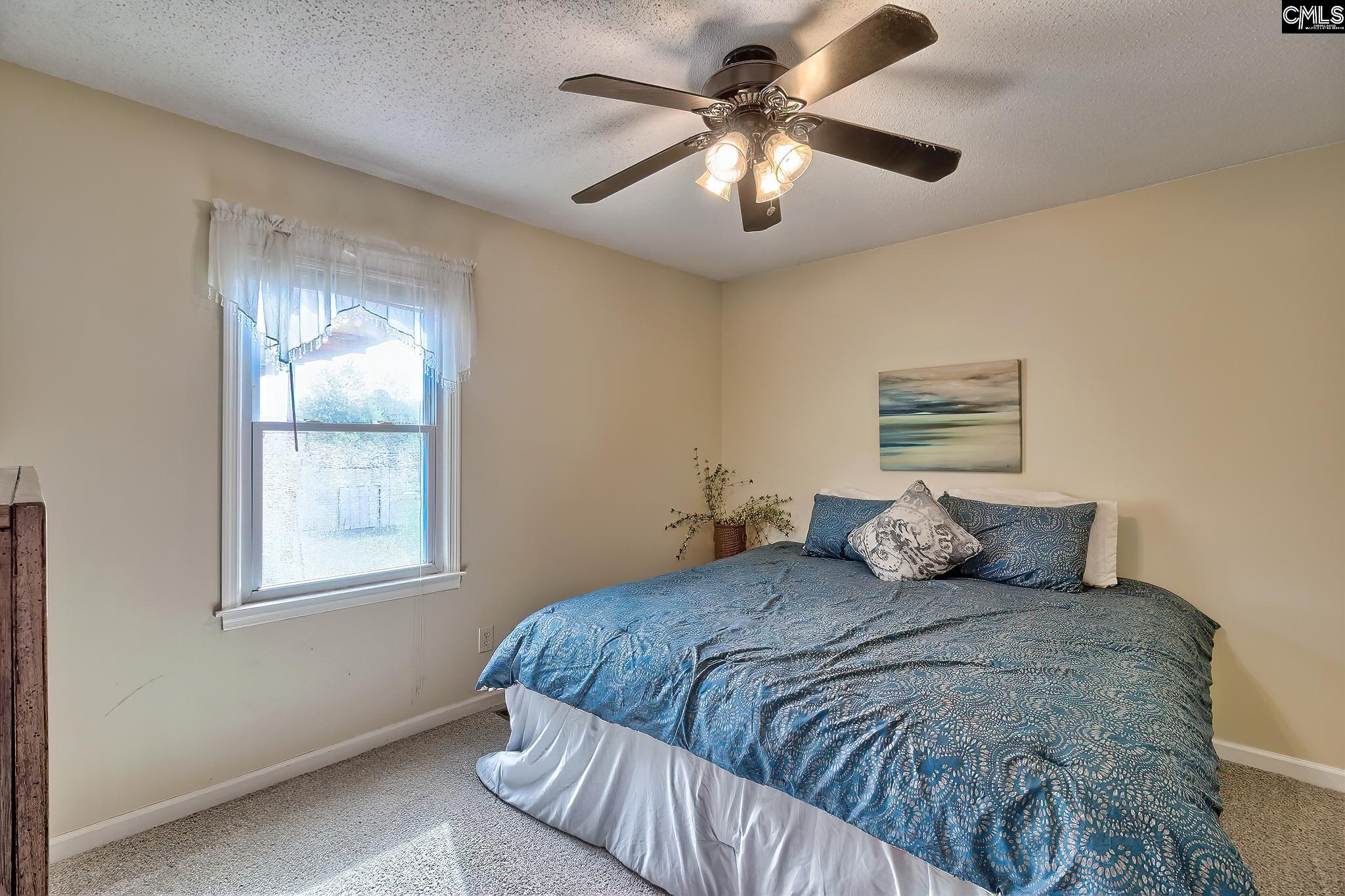 265 Sandspur Road, Pelion, South Carolina image 26