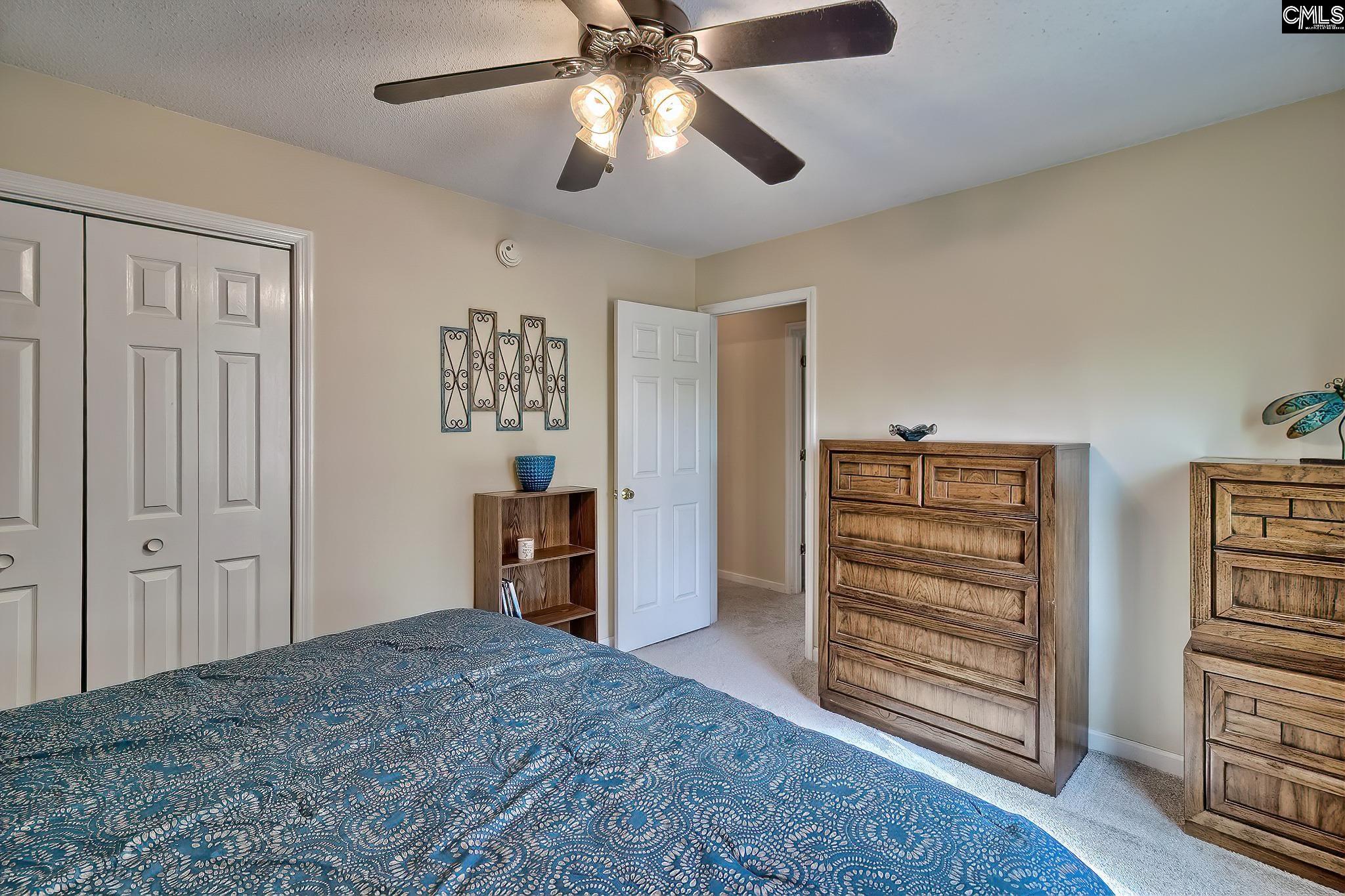 265 Sandspur Road, Pelion, South Carolina image 27