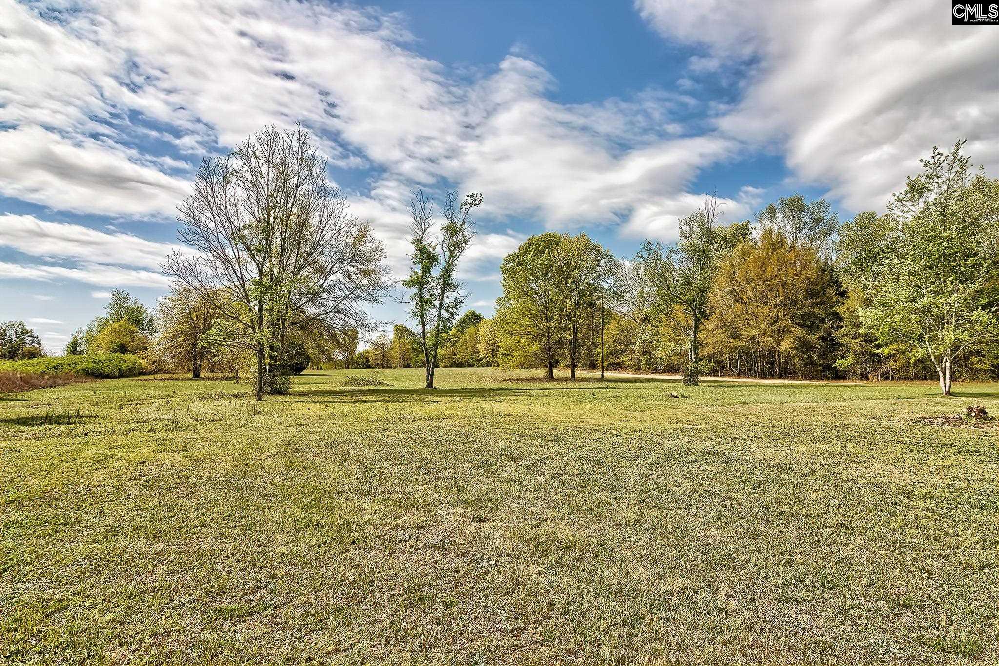 265 Sandspur Road, Pelion, South Carolina image 35
