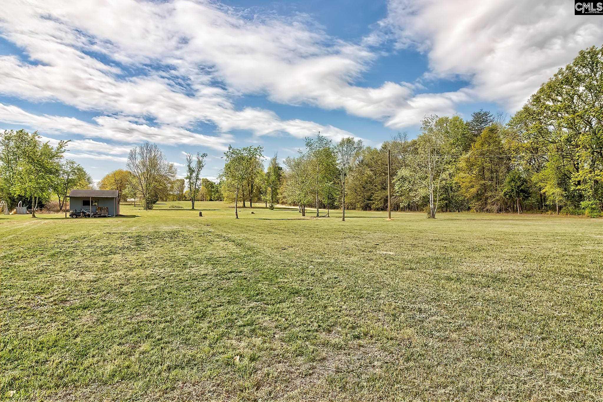 265 Sandspur Road, Pelion, South Carolina image 36