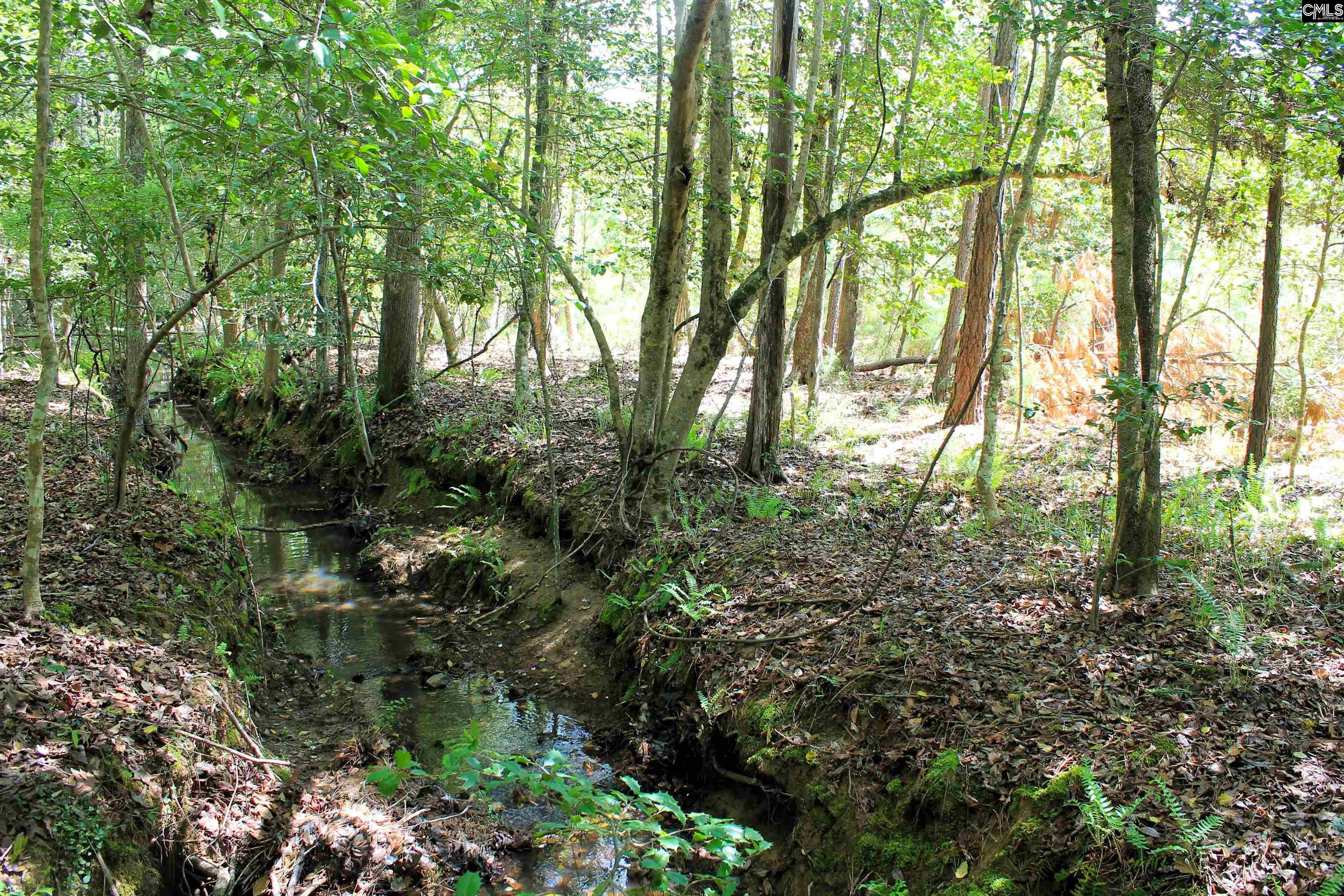 TBD Crooked Creek Road Chapin, SC 29036
