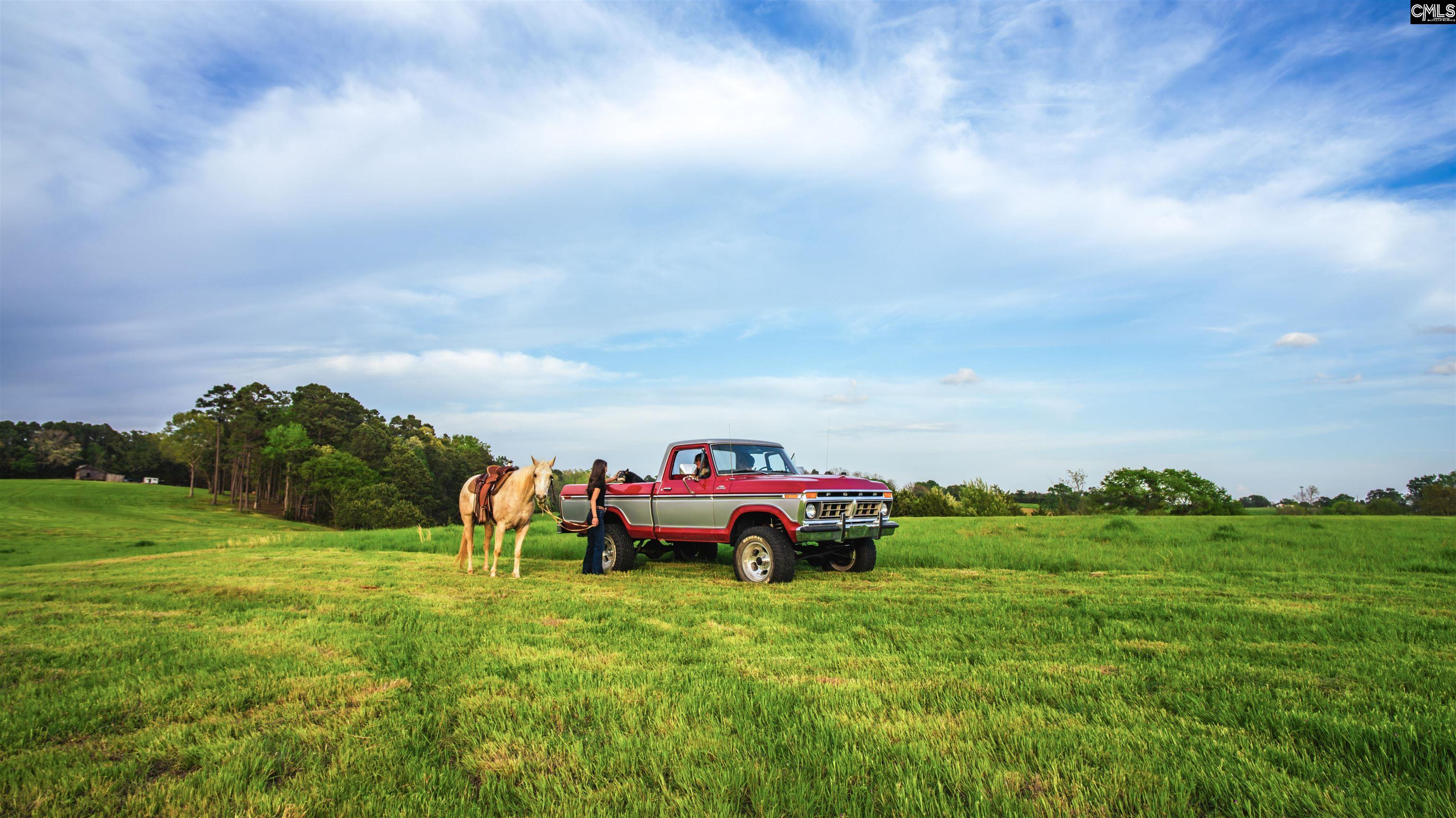 Frees Creek Drive, Jenkinsville, South Carolina image 21