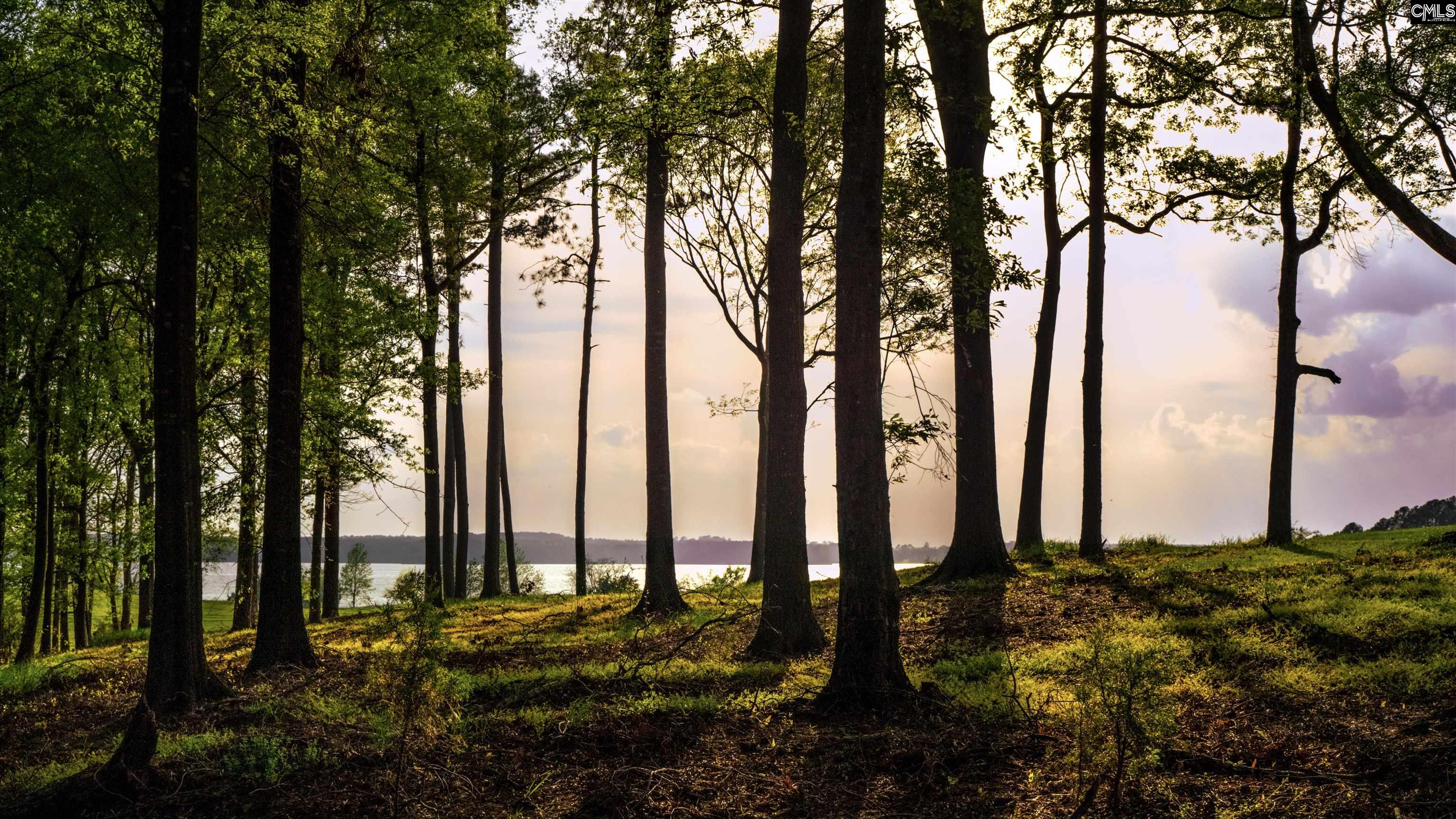 Frees Creek Drive Jenkinsville, SC 29065