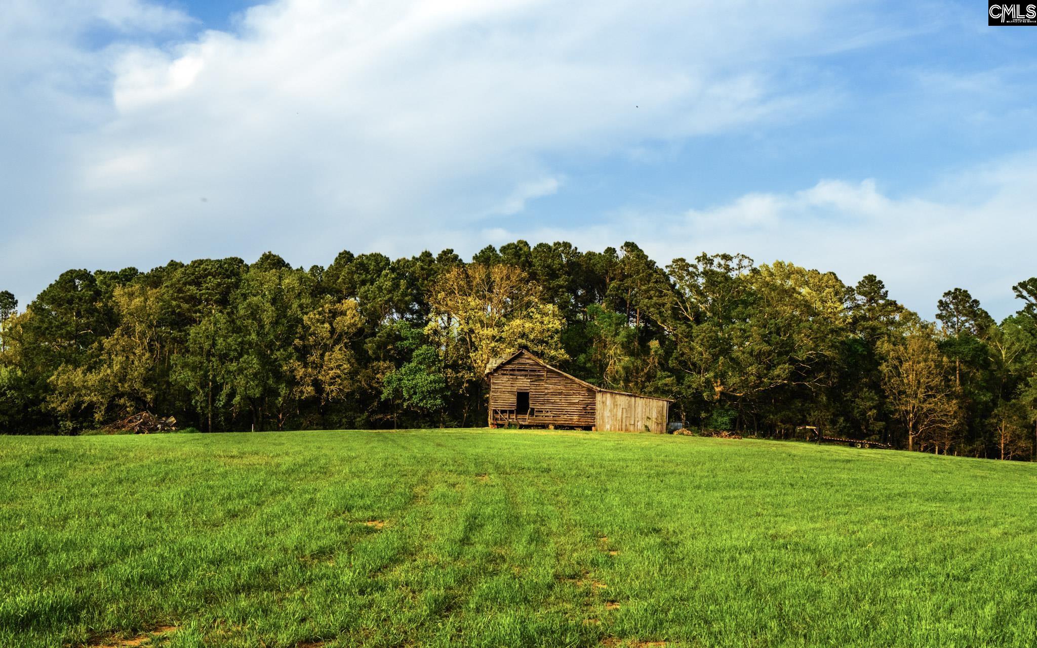 Frees Creek Drive Jenkinsville, SC 29065