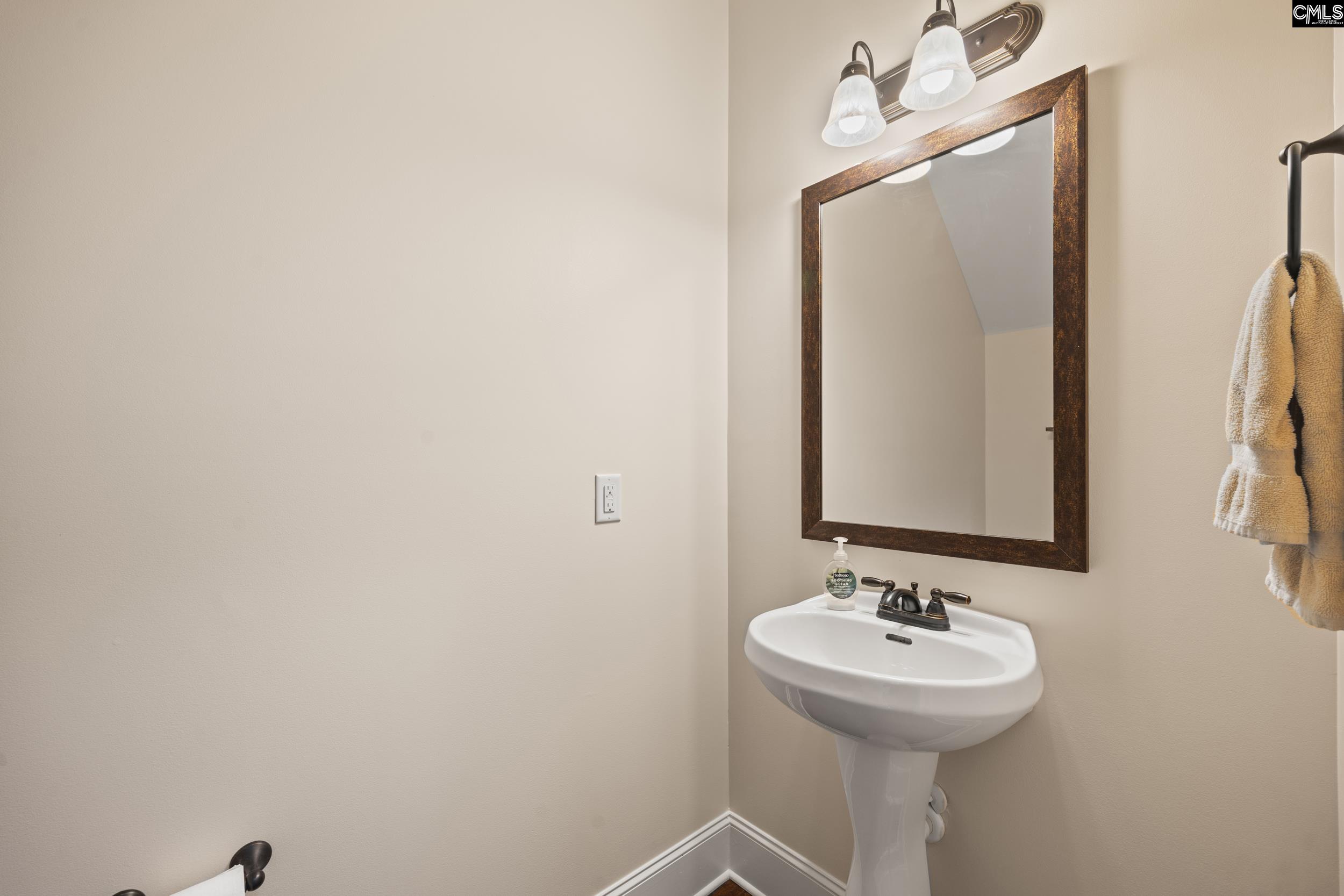 211 Pink Camellia Lane, Lexington, South Carolina image 23