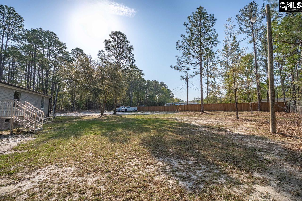 272 Treemount Lane, Gaston, South Carolina image 47