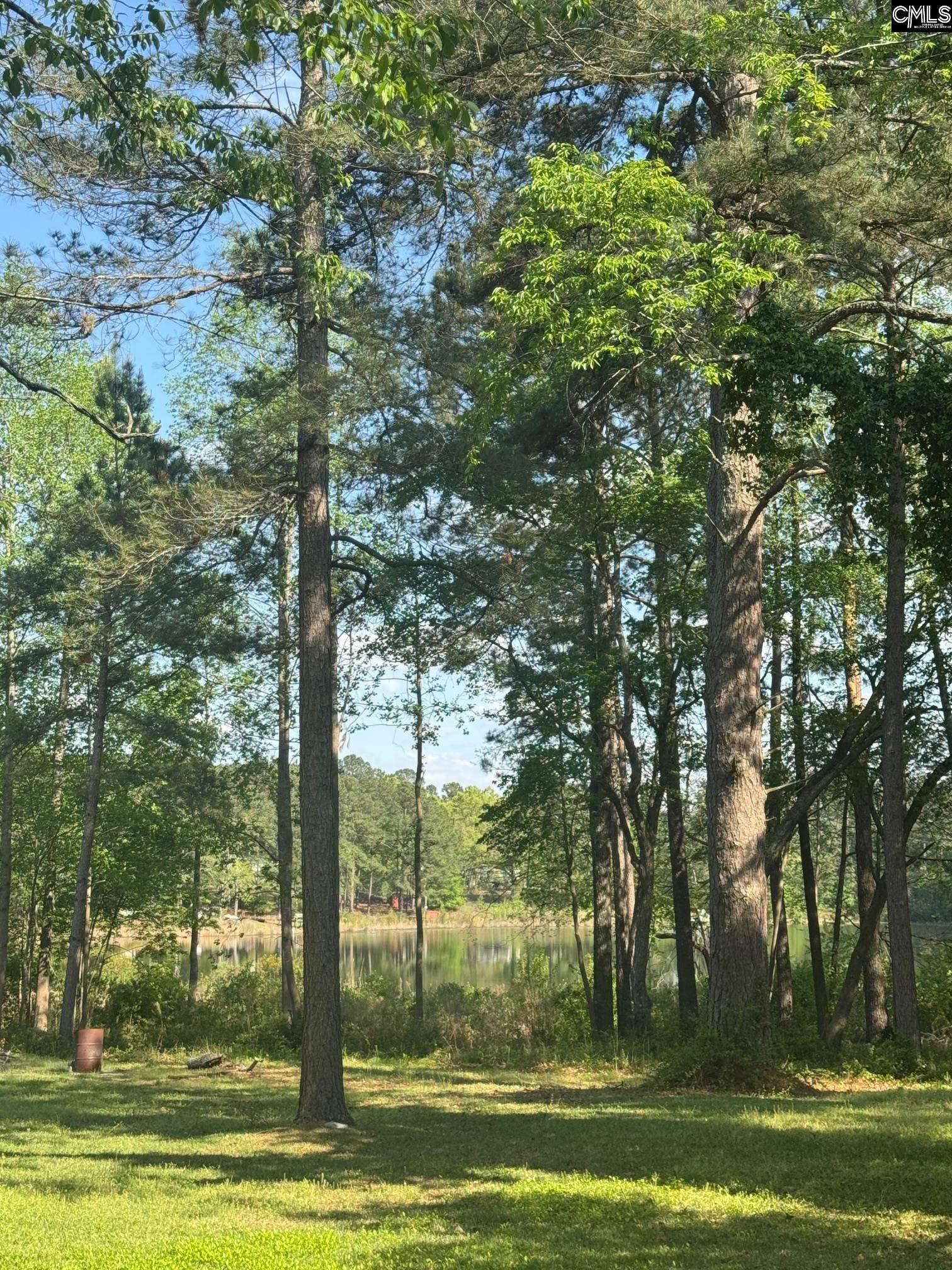 Image 22