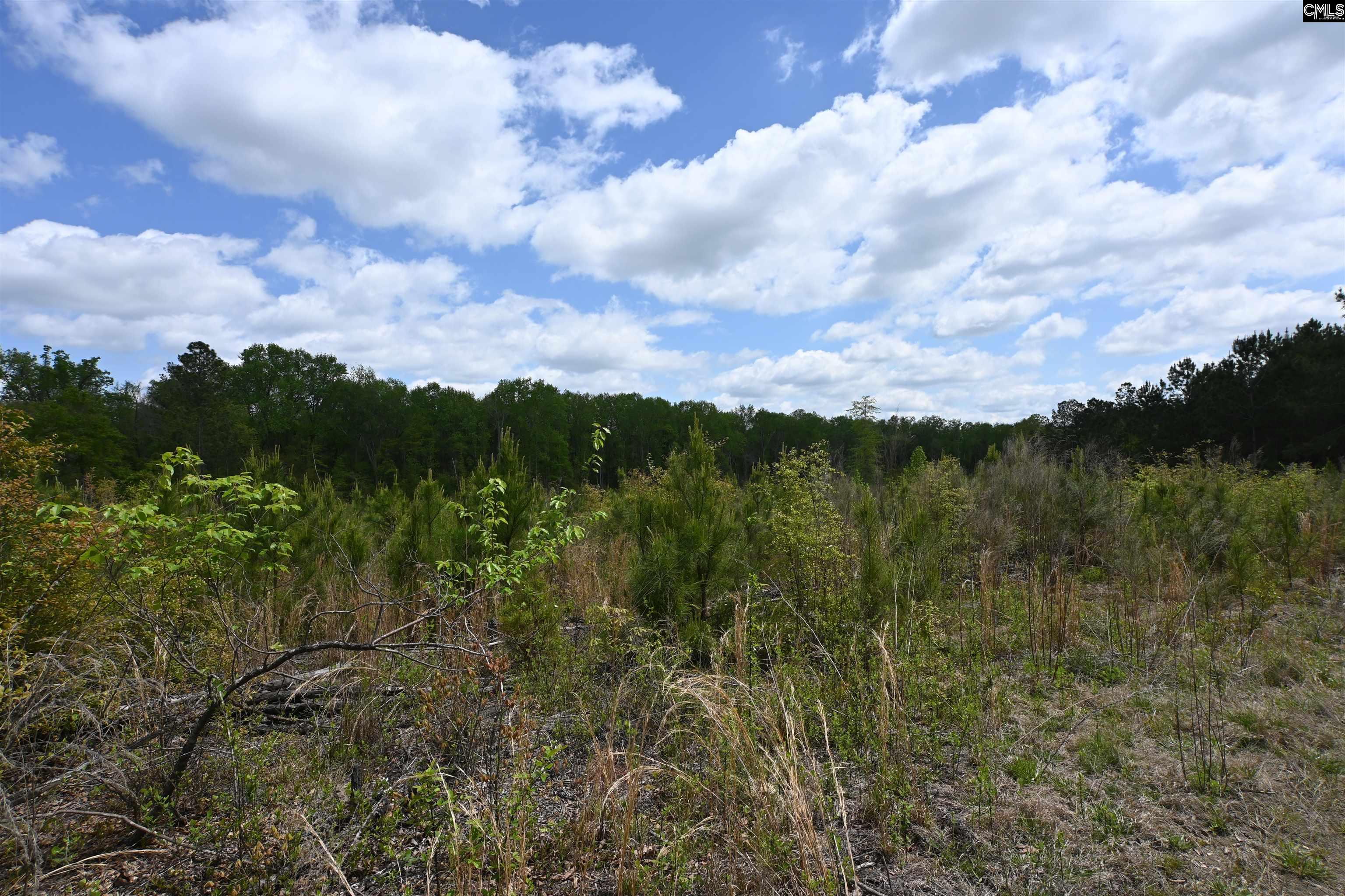 Platt Springs Road West Columbia, SC 29169