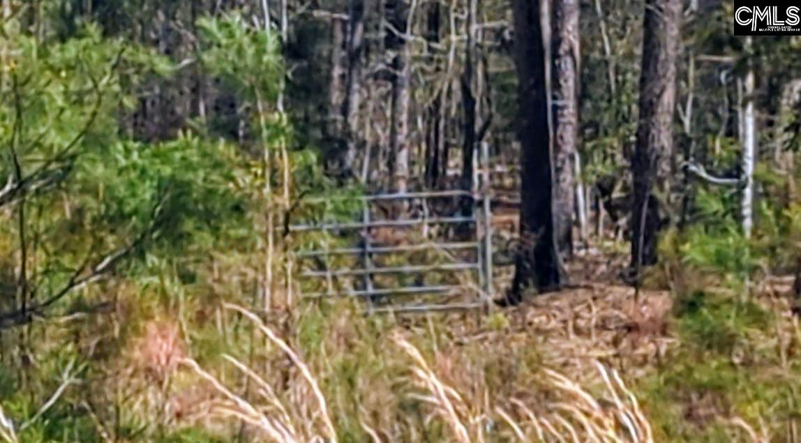 Off Evergreen Road, Winnsboro, South Carolina image 1