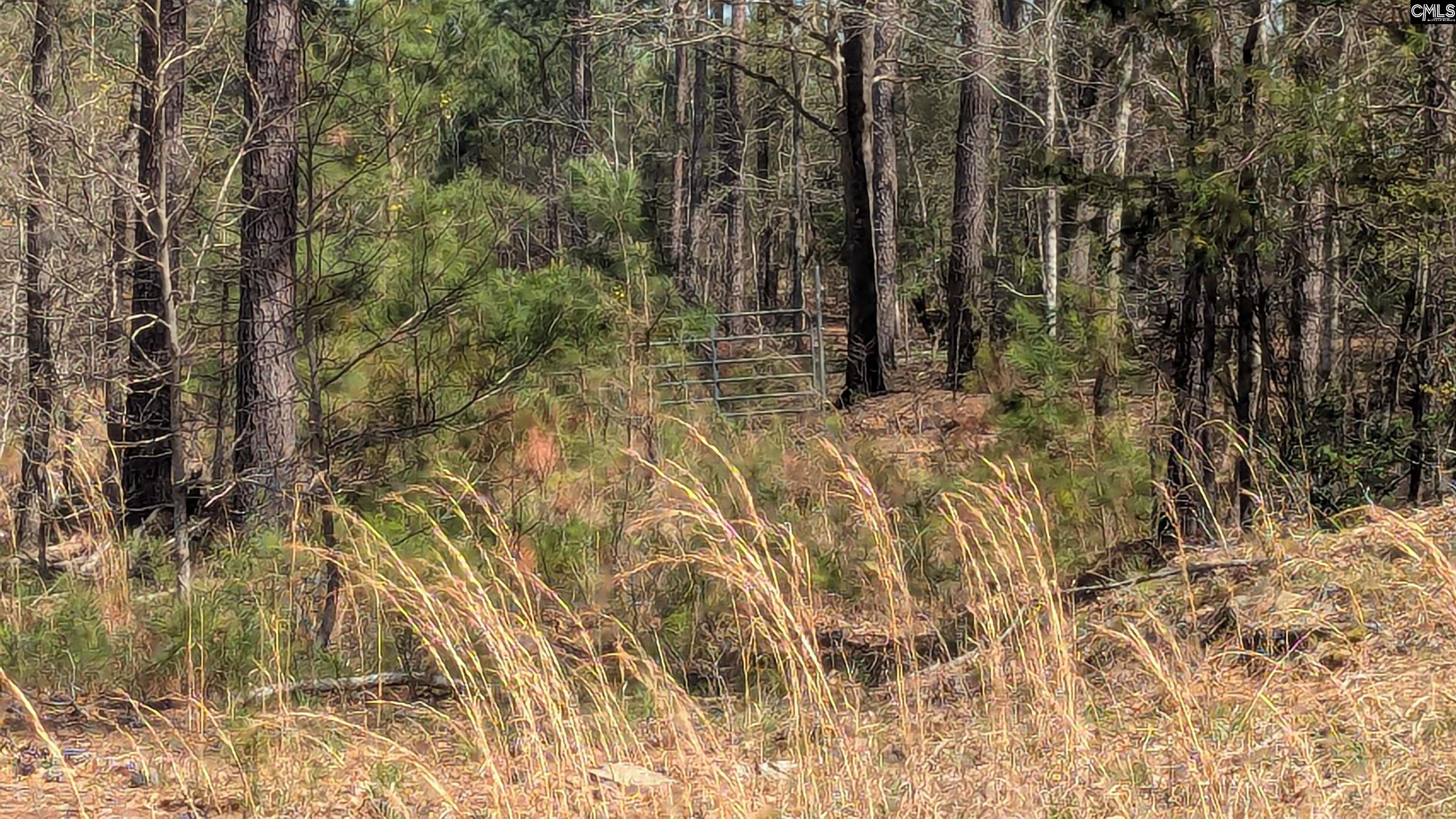 Off Evergreen Road, Winnsboro, South Carolina image 3
