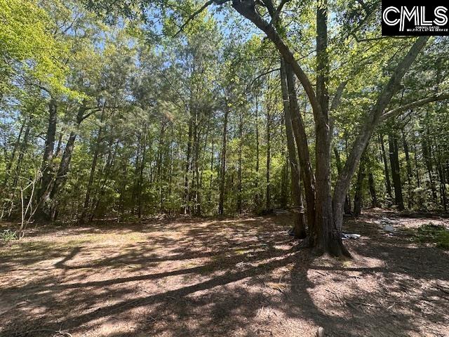 282 Foxbriar Road, Newberry, South Carolina image 3