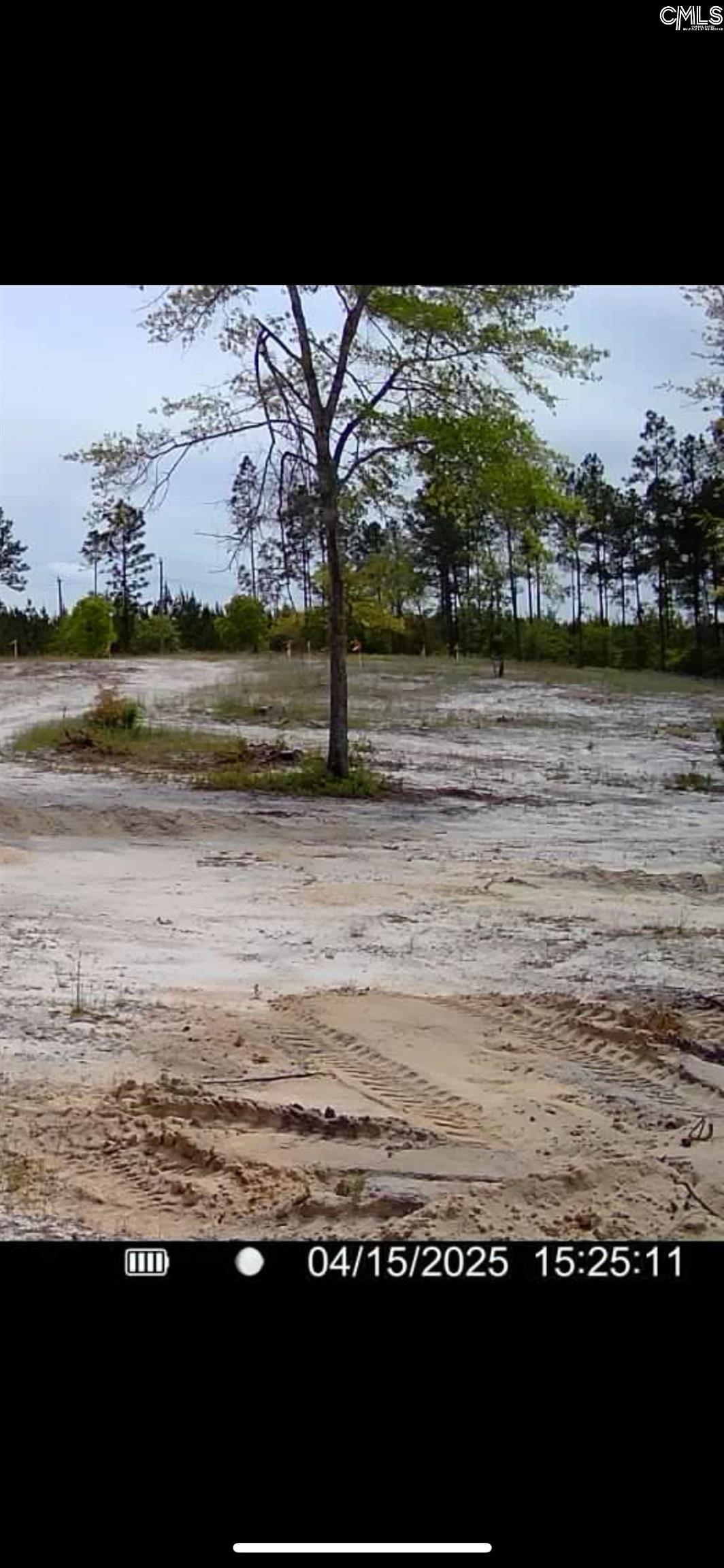 1538 Martin Smith Road, Leesville, South Carolina image 2
