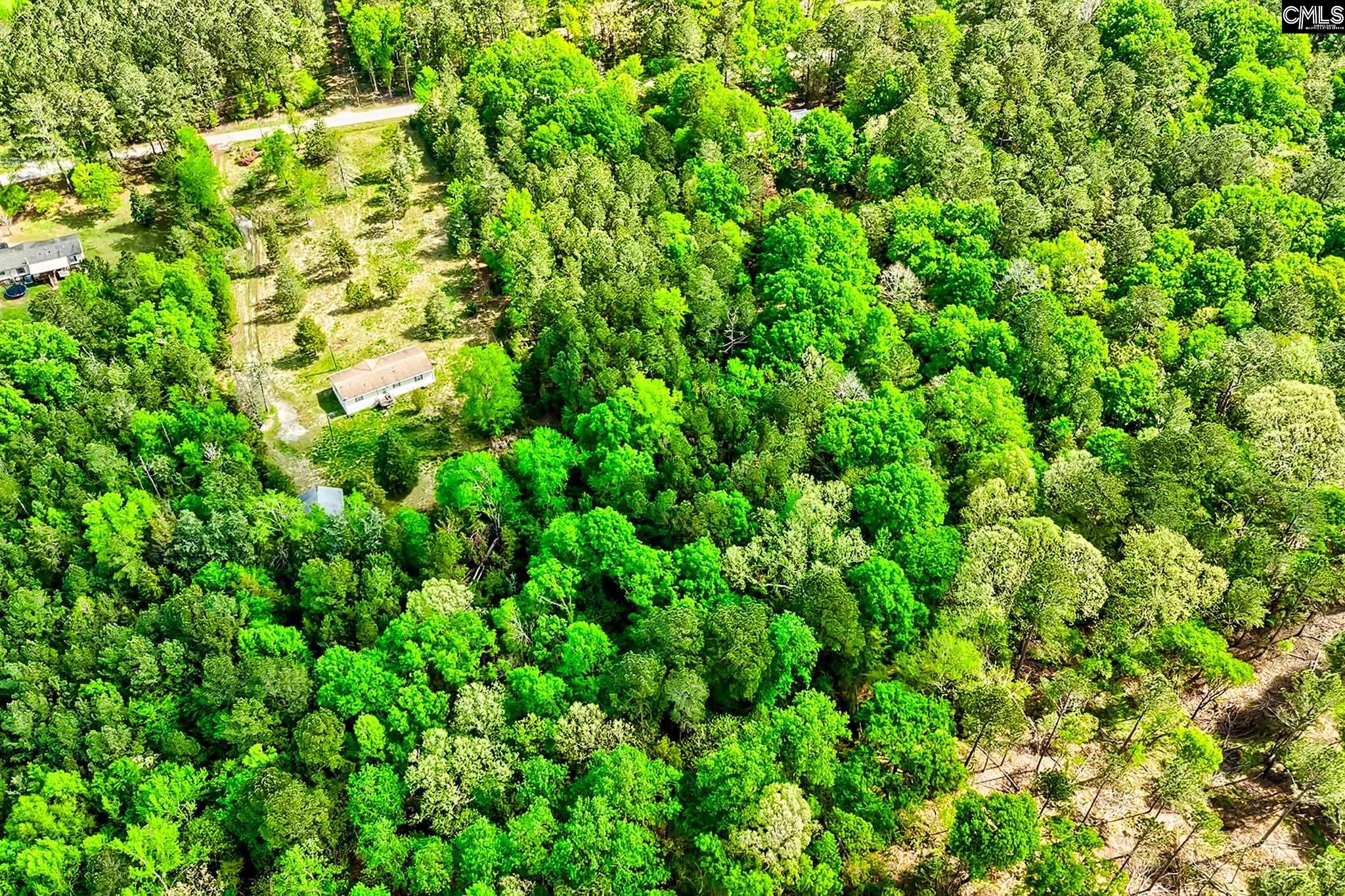 318 Blackberry Lane, Pomaria, South Carolina image 3