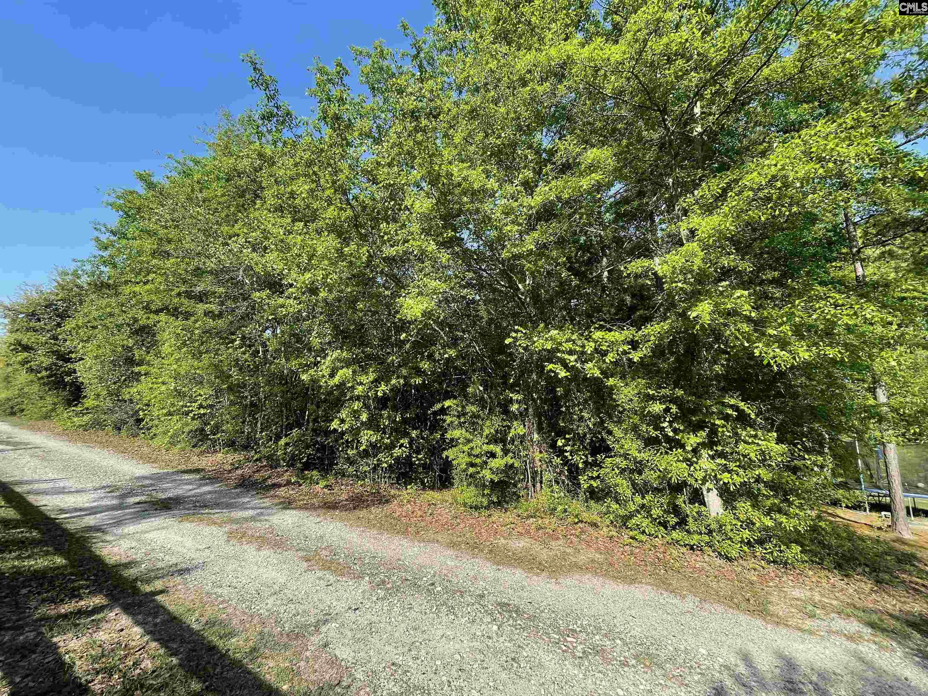 661 Langford Blythewood, SC 29016