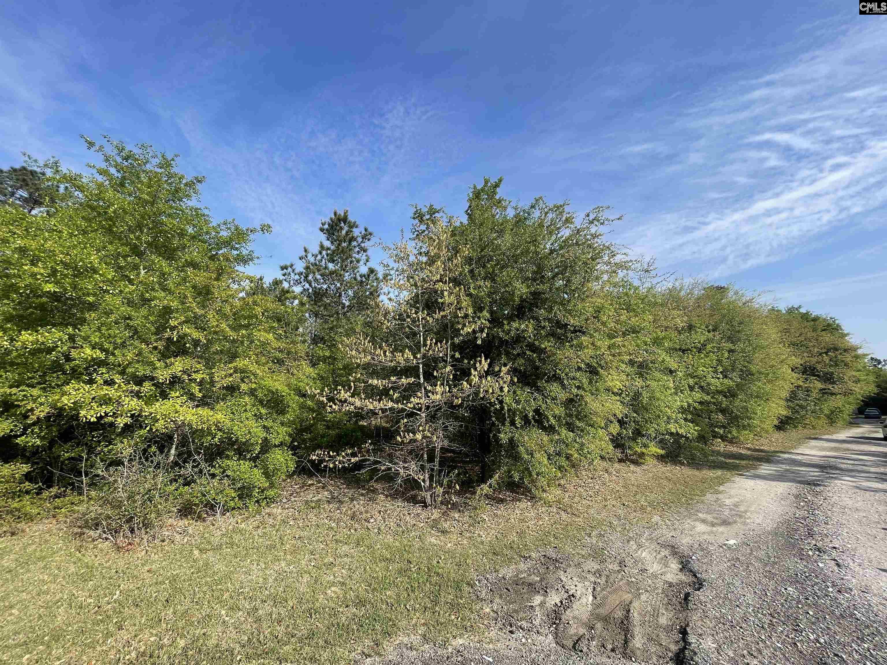 661 Langford Blythewood, SC 29016