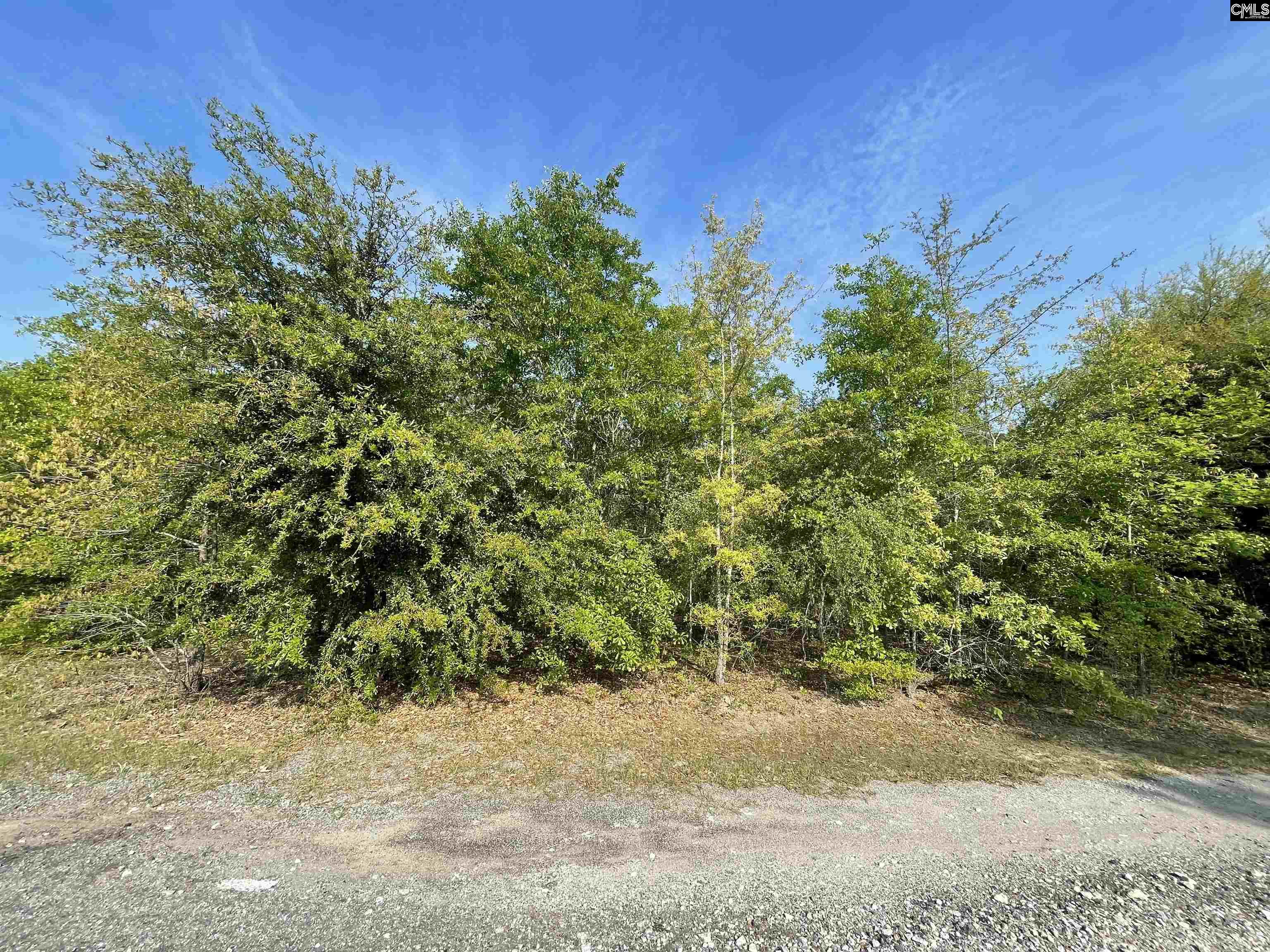 661 Langford Blythewood, SC 29016