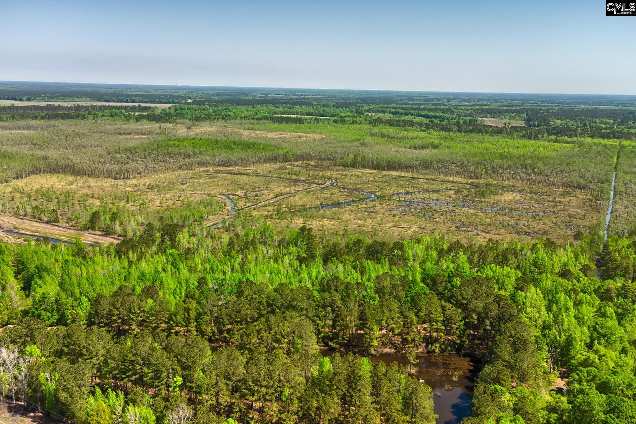 TBD Alligator Road, Bamberg, South Carolina image 3
