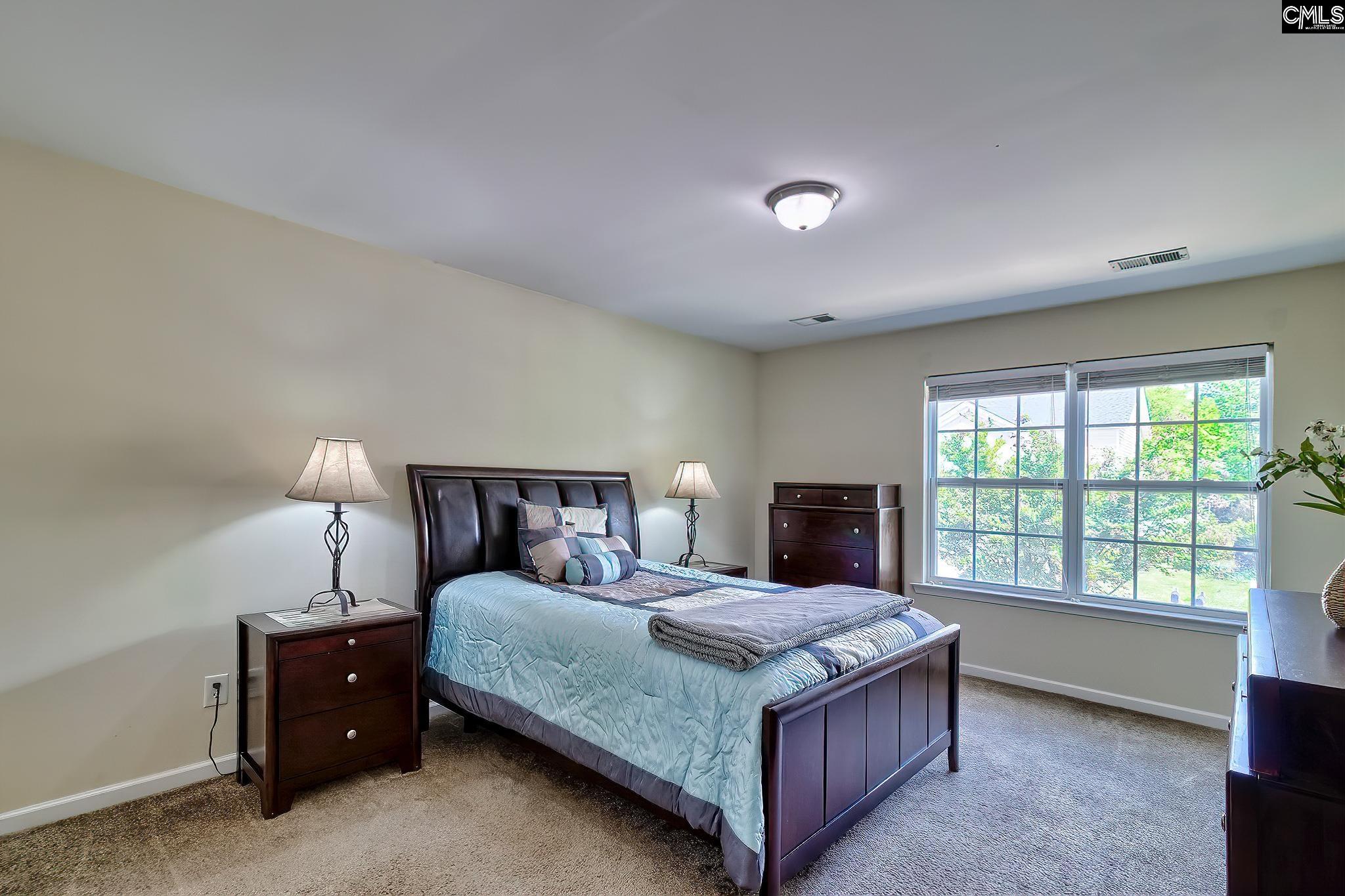 461 Whispering Oak Circle, Chapin, South Carolina image 16