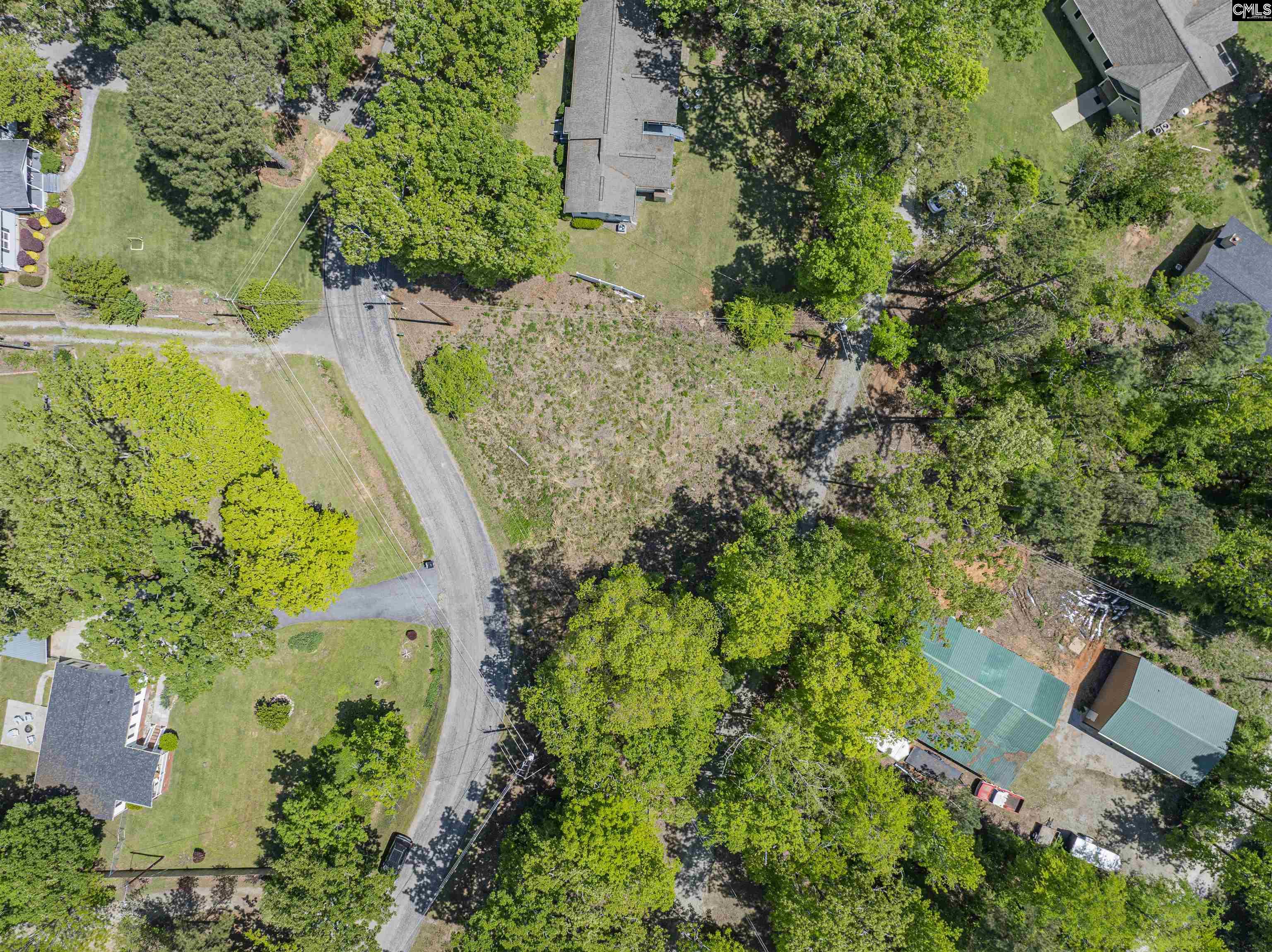 612 Green Meadow Drive, Chapin, South Carolina image 2