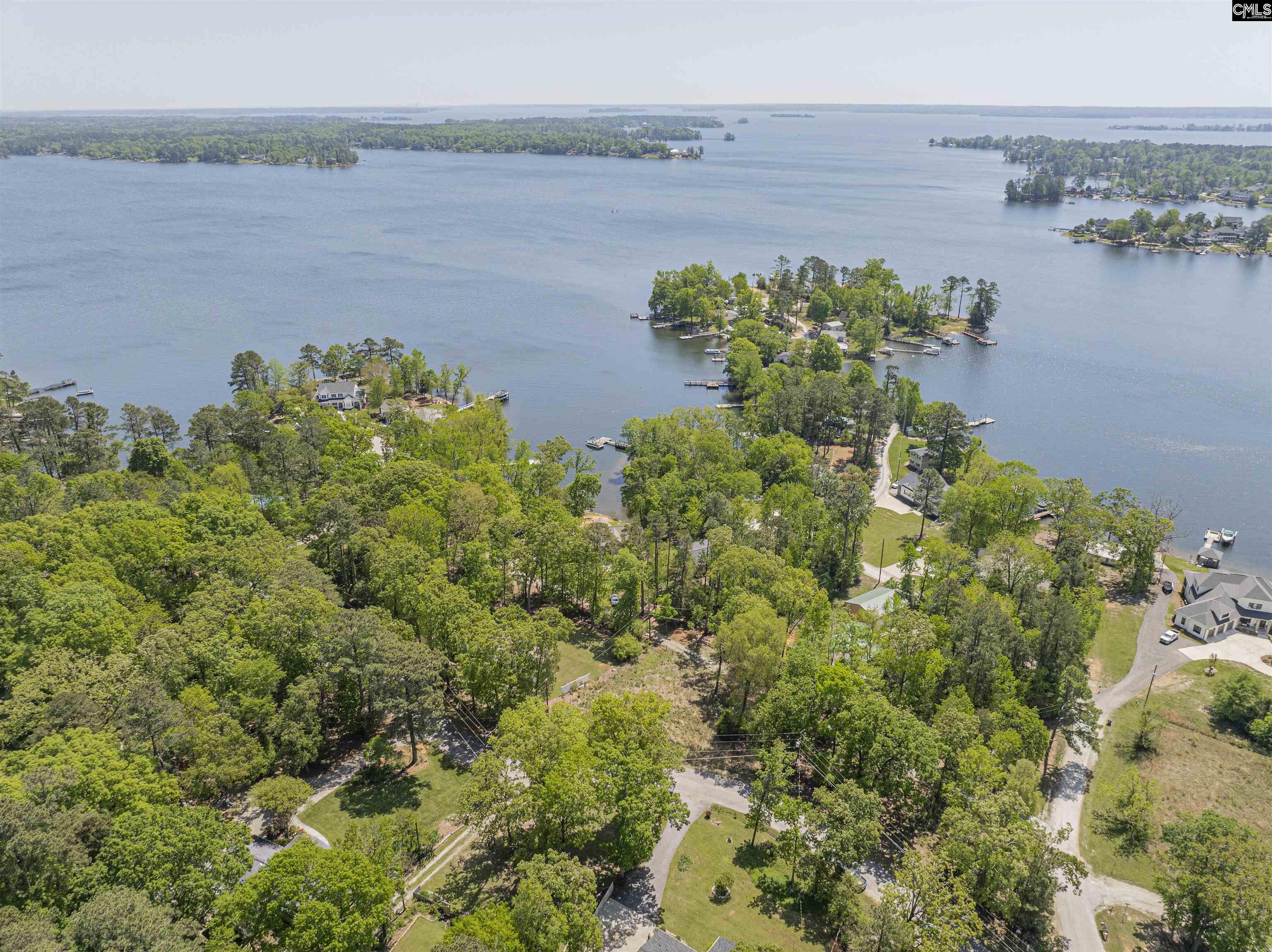 612 Green Meadow Drive, Chapin, South Carolina image 4