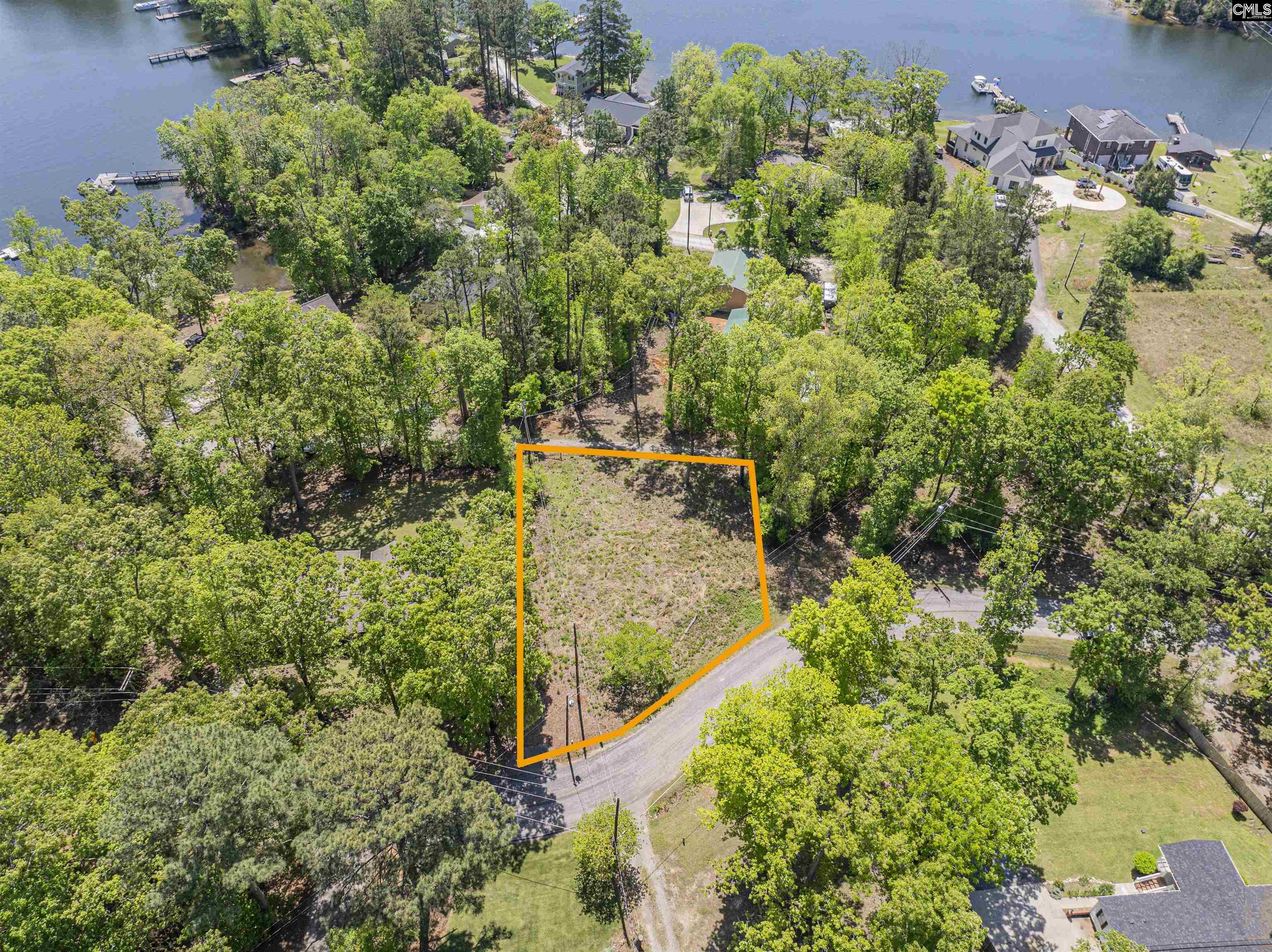 612 Green Meadow Drive, Chapin, South Carolina image 5