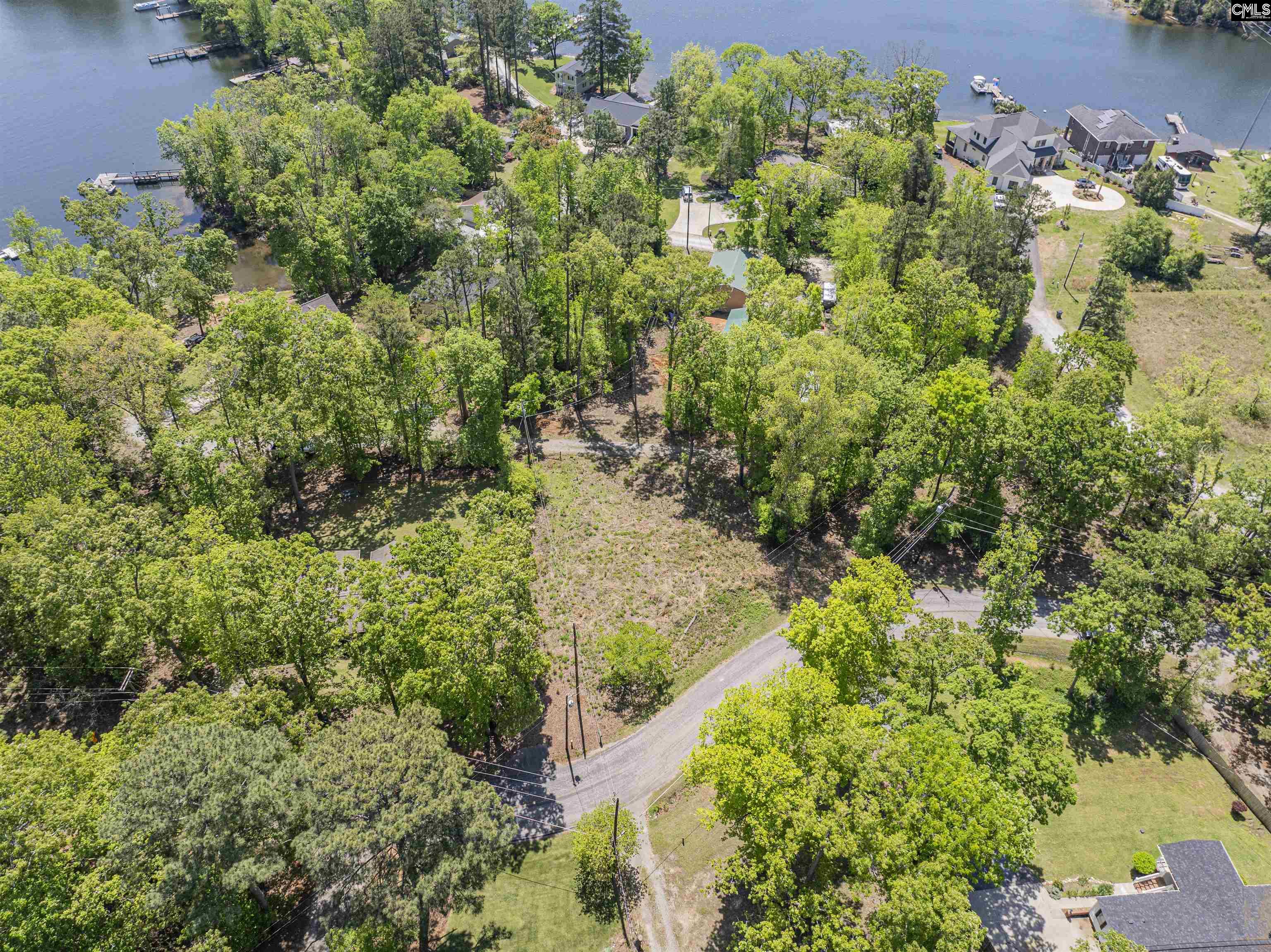 612 Green Meadow Drive, Chapin, South Carolina image 6