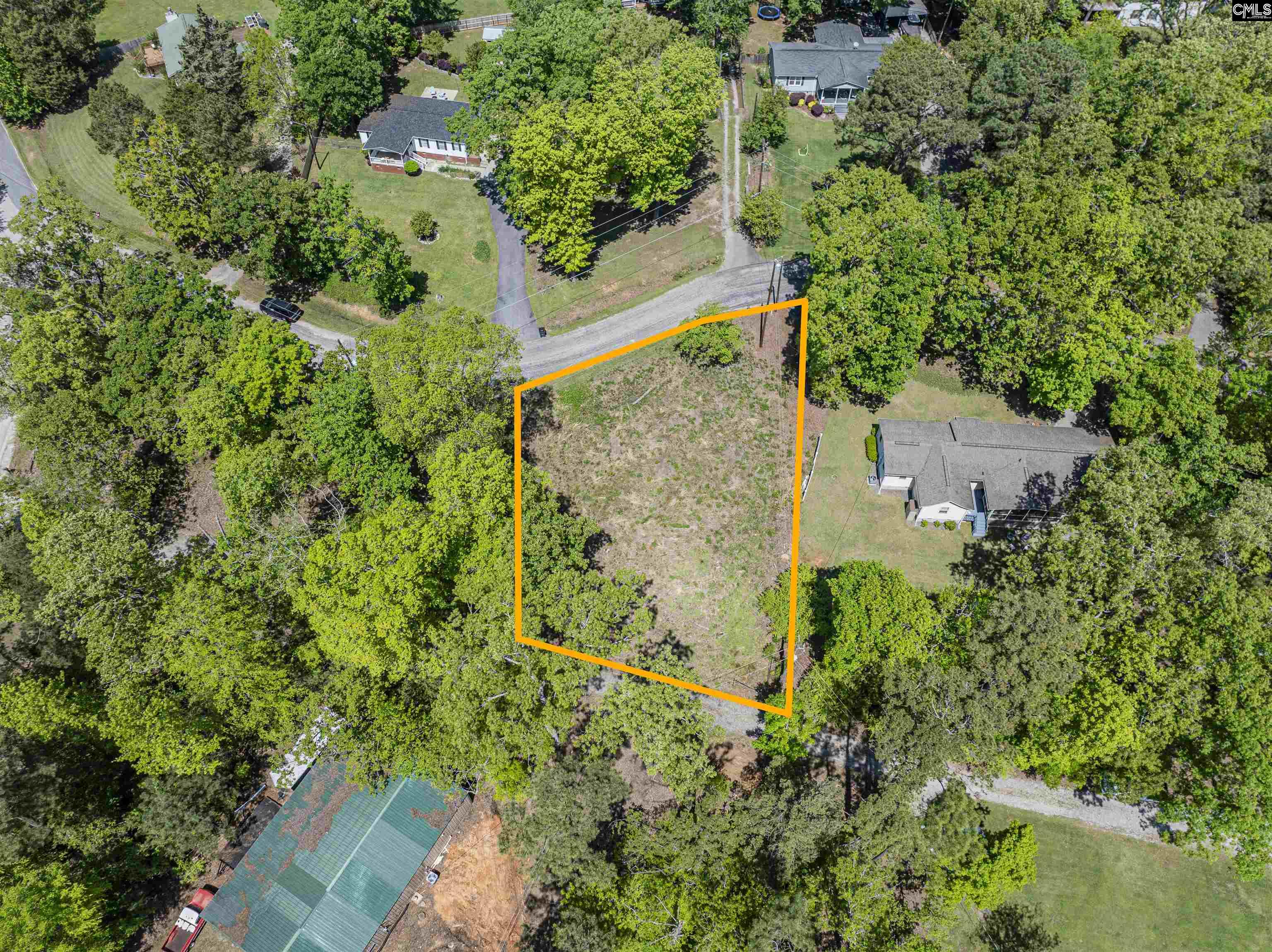 612 Green Meadow Drive, Chapin, South Carolina image 7