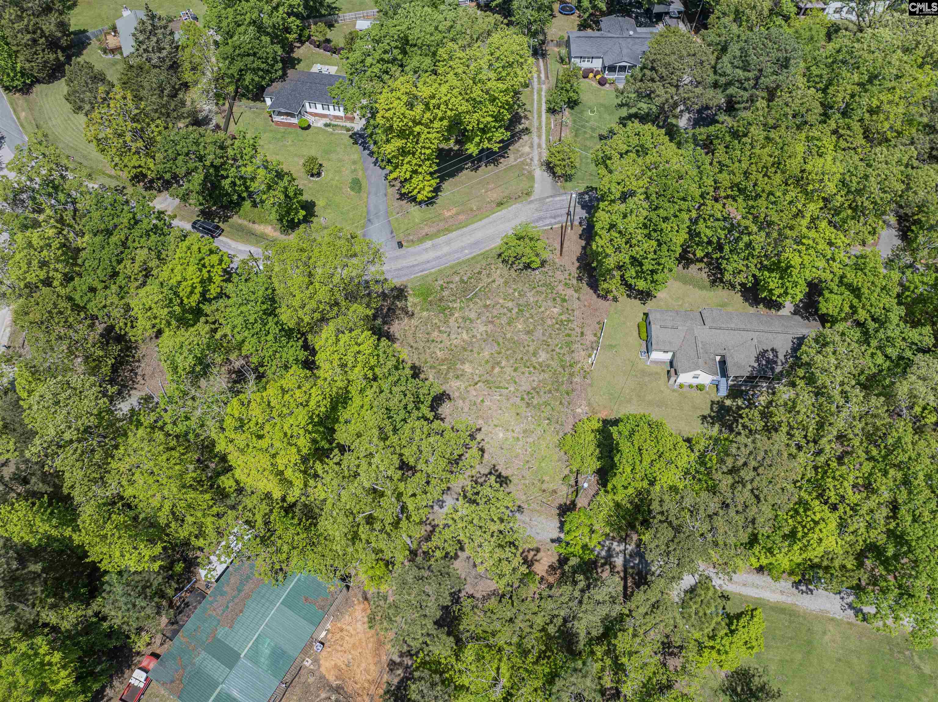 612 Green Meadow Drive, Chapin, South Carolina image 8
