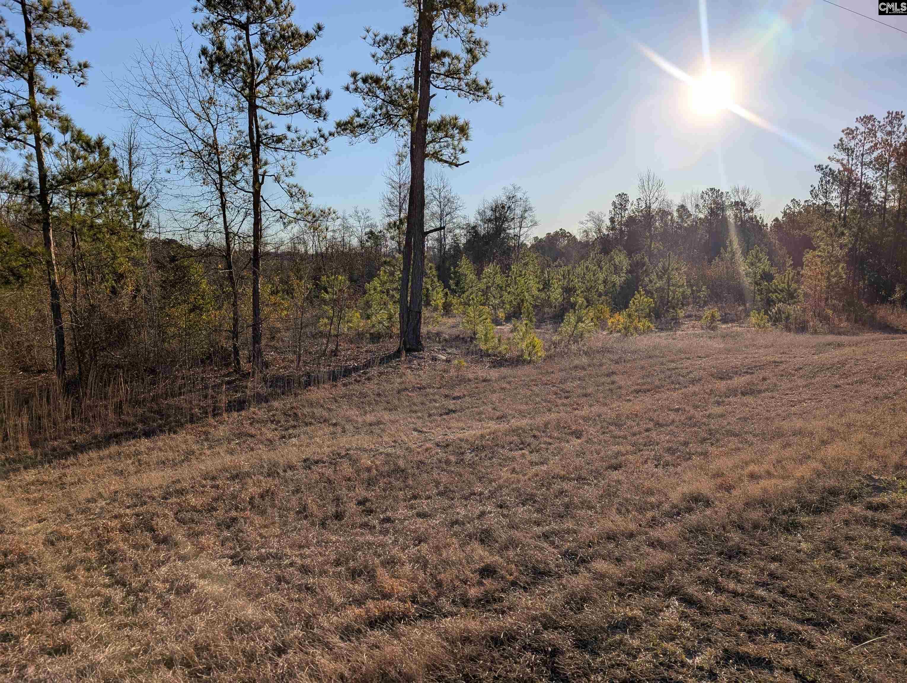 7884 Winnsboro Road UNIT #4 Columbia, SC 29203